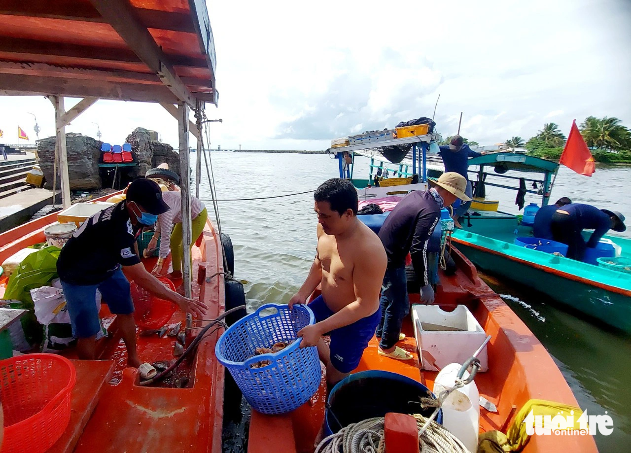 2h - 4h chiều mỗi ngày, ở cửa sông Dương Đông (phường Dương Đông, TP Phú Quốc) nhộn nhịp ghe tàu bán ốc tỏi - Ảnh: CHÍ CÔNG