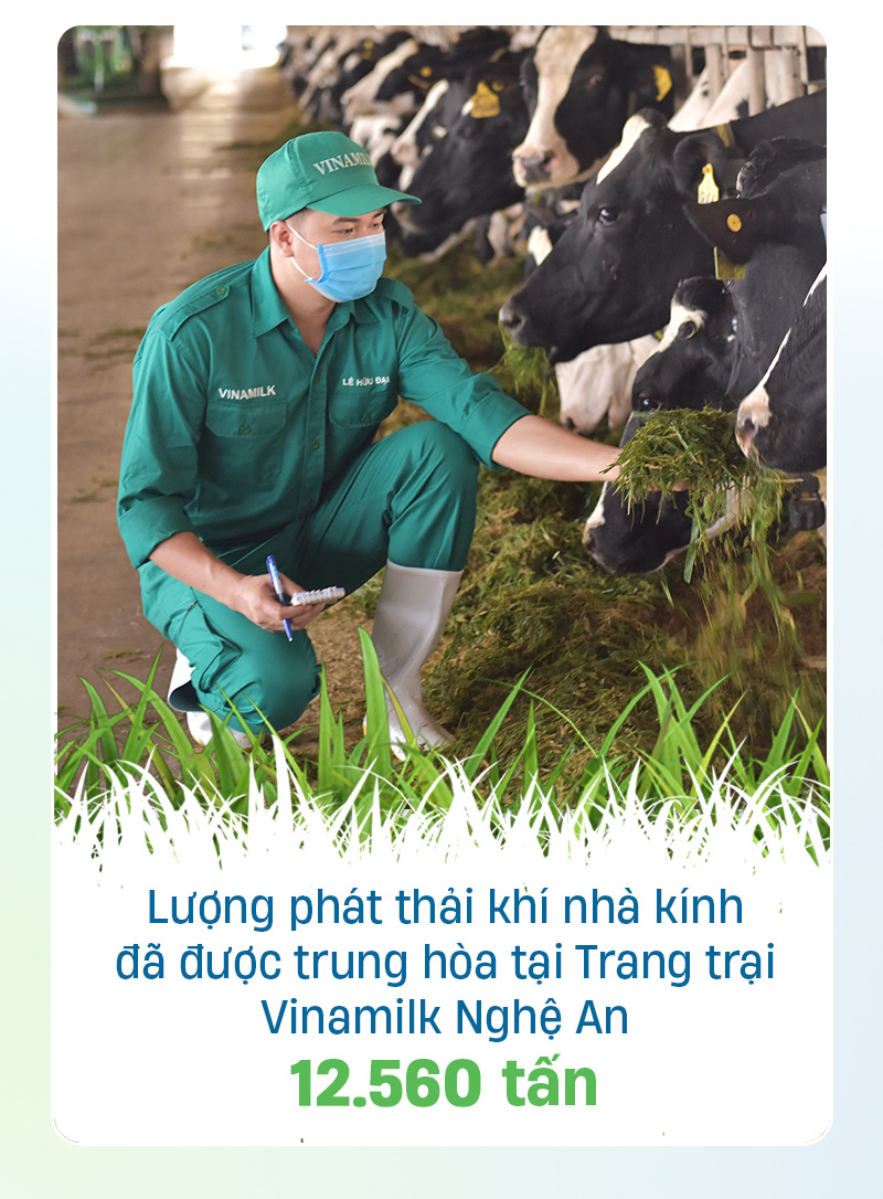 Theo đuổi chiến lược xanh, Vinamilk đầu tư như thế nào cho các trang trại? - Ảnh 3.