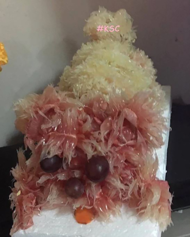 'Cười sảng' với đội hình chó bưởi rước Trung Thu xấu không thể tả - Ảnh 6. Định làm chú cún poodle nhưng lại hóa ra chú cún u sầu?