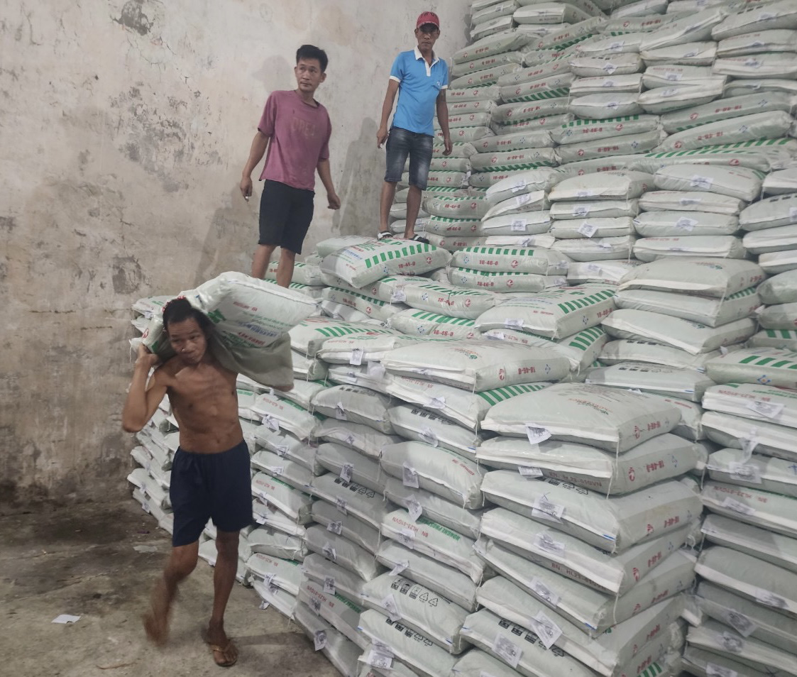 最近肥料価格が上昇し、生産コストの大幅な増加につながっている - 写真: KHAC TAM