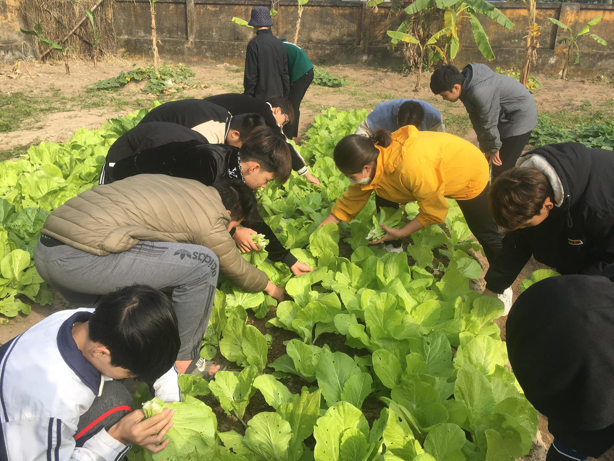 Teen Trường cấp III Nông nghiệp Nam Định học làm nông theo kiểu Nhật