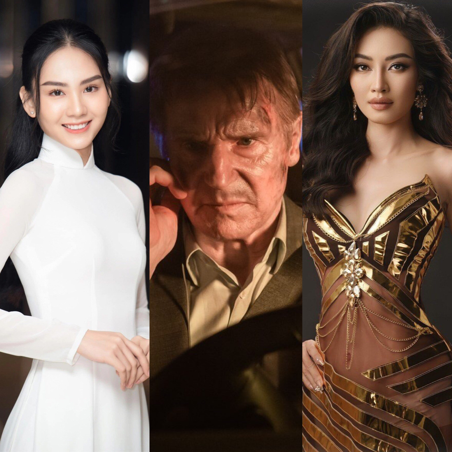 左から右へ: Mai Phuong、Liam Neeson、Diem Trinh - 写真: Facebook アーティスト 左から右へ: Mai Phuong、Liam Neeson、Diem Trinh - 写真: Facebook アーティスト