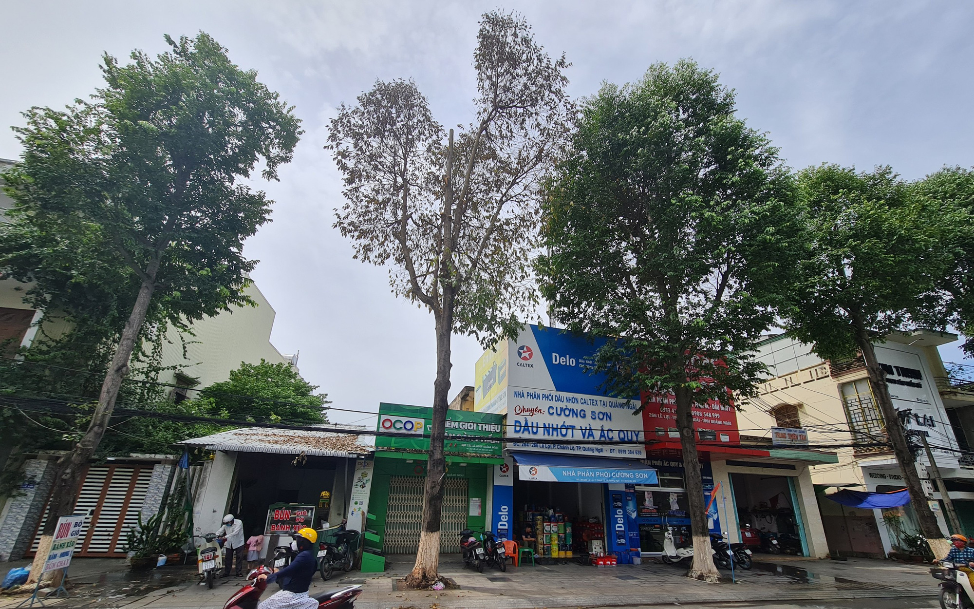3 cây sao đen trăm tuổi chết khô trước 3 căn nhà đang xây ở phố Lò Đúc: 'Có dấu hiệu bị xâm hại'- Ảnh 7. Cây sao đen hàng chục tuổi nghi bị khoan gốc, đổ chất độc bức tử