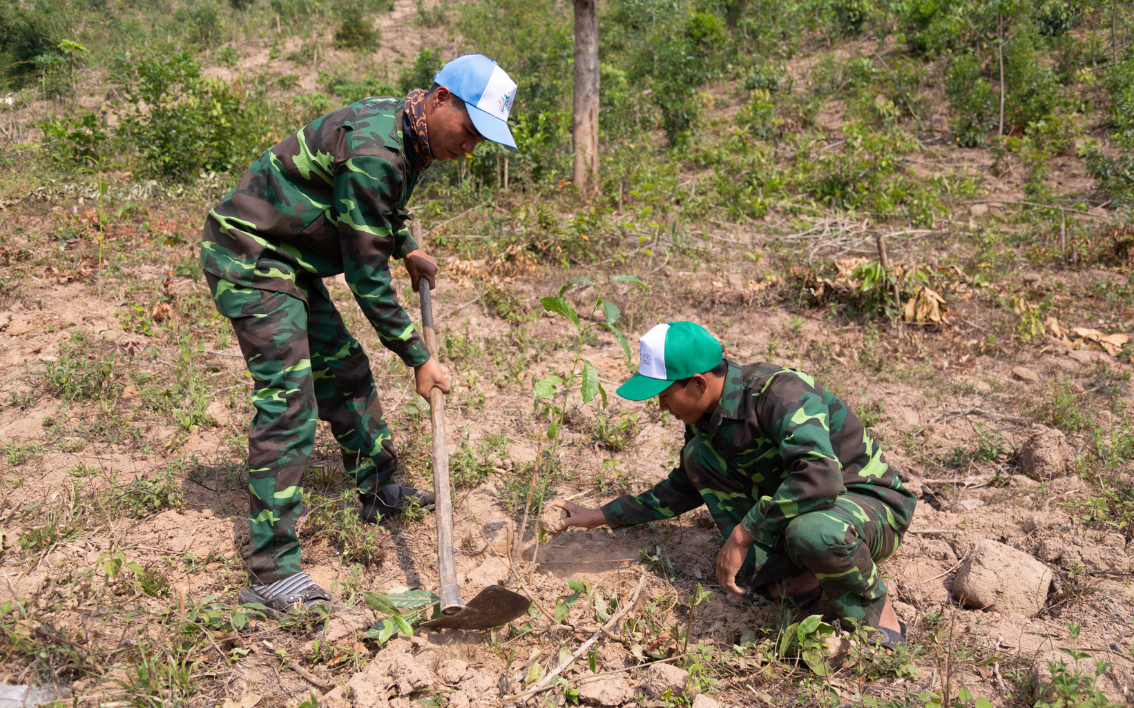 Khởi công công trình lưu niệm anh hùng Phan Đình Giót- Ảnh 4. Đã trồng được 770 triệu cây theo đề án