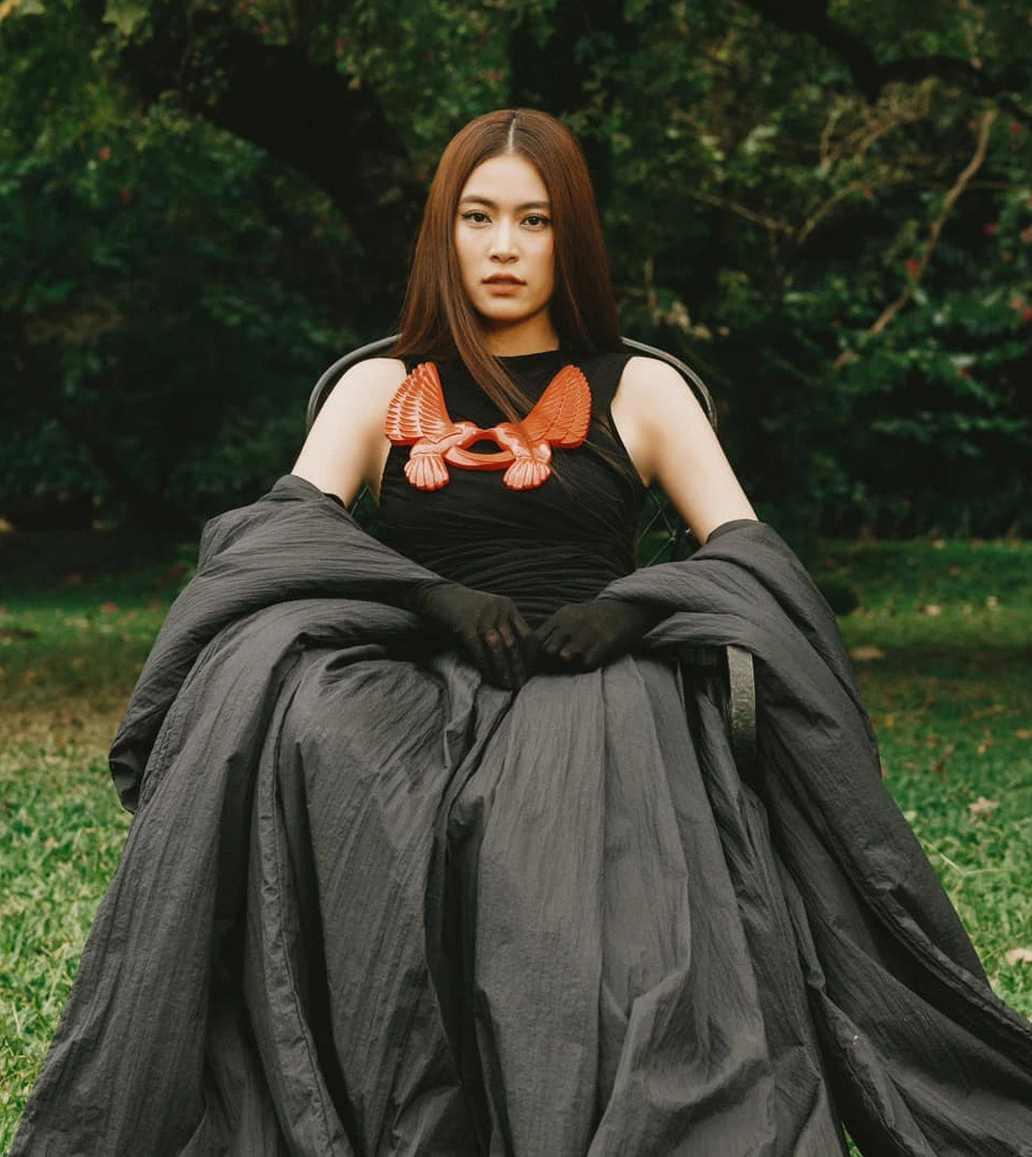 ホアン・トゥイ・リンの2023年は多くの不必要なノイズに見舞われ、彼のキャリアに影響を与えるだろう - 写真：Facebookのキャラクター