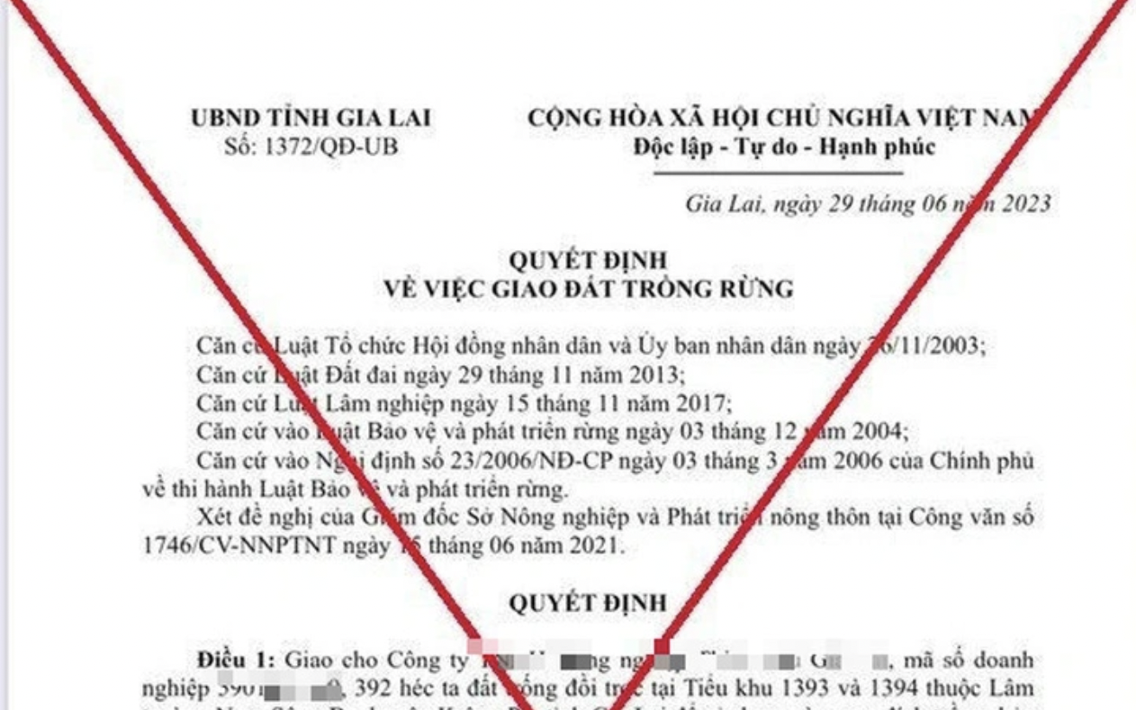 Điều tra vụ giả mạo văn bản giao gần 400ha đất cho doanh nghiệp trồng rừng