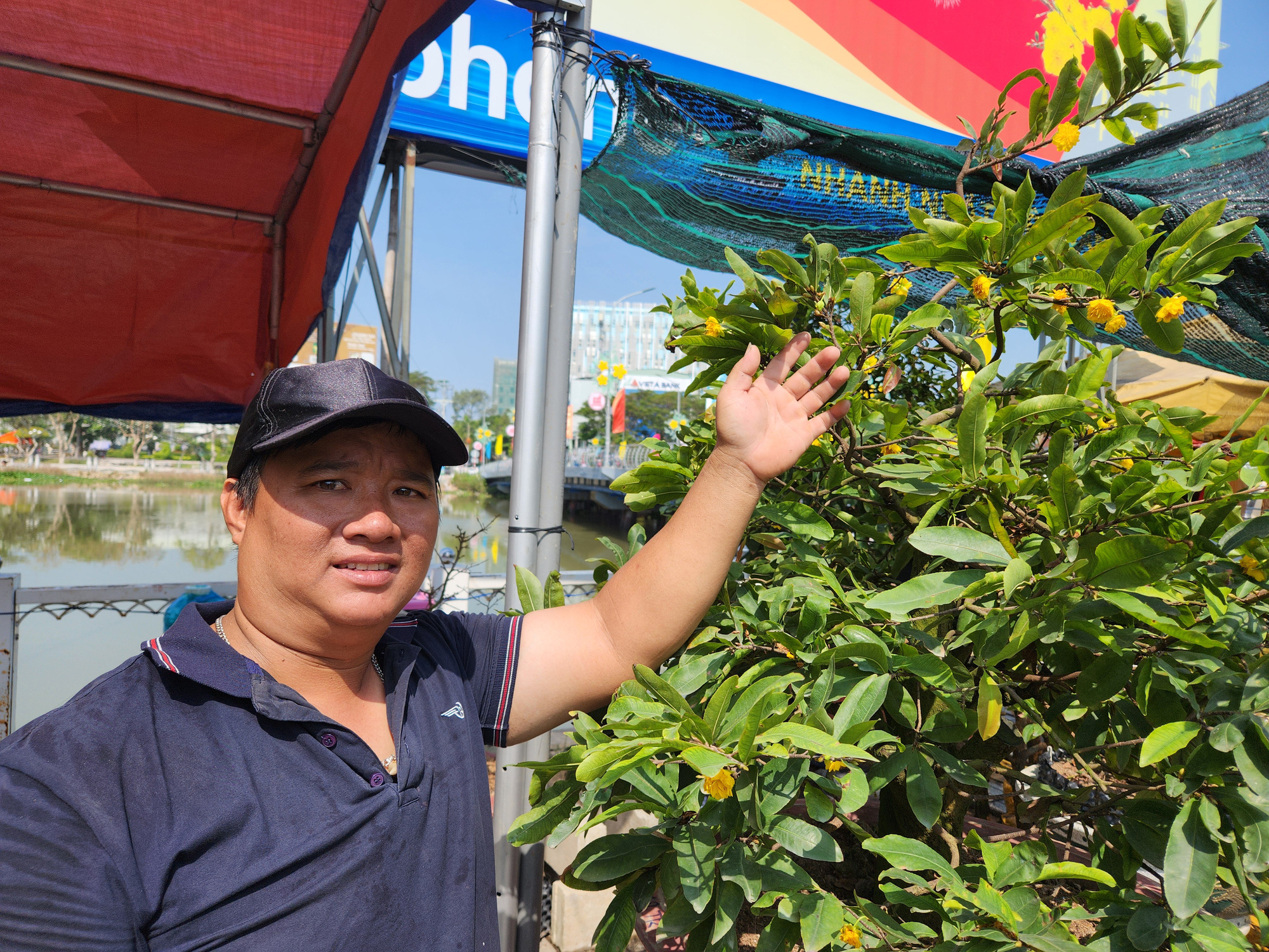 Dự báo thời tiết ngày 21 đến 27-1: Bắc Bộ giá rét, Trung Bộ mưa, Nam Bộ nắng- Ảnh 2. Nhà vườn lo lắng với thời tiết bất thường, hoa mai bung nở sớm