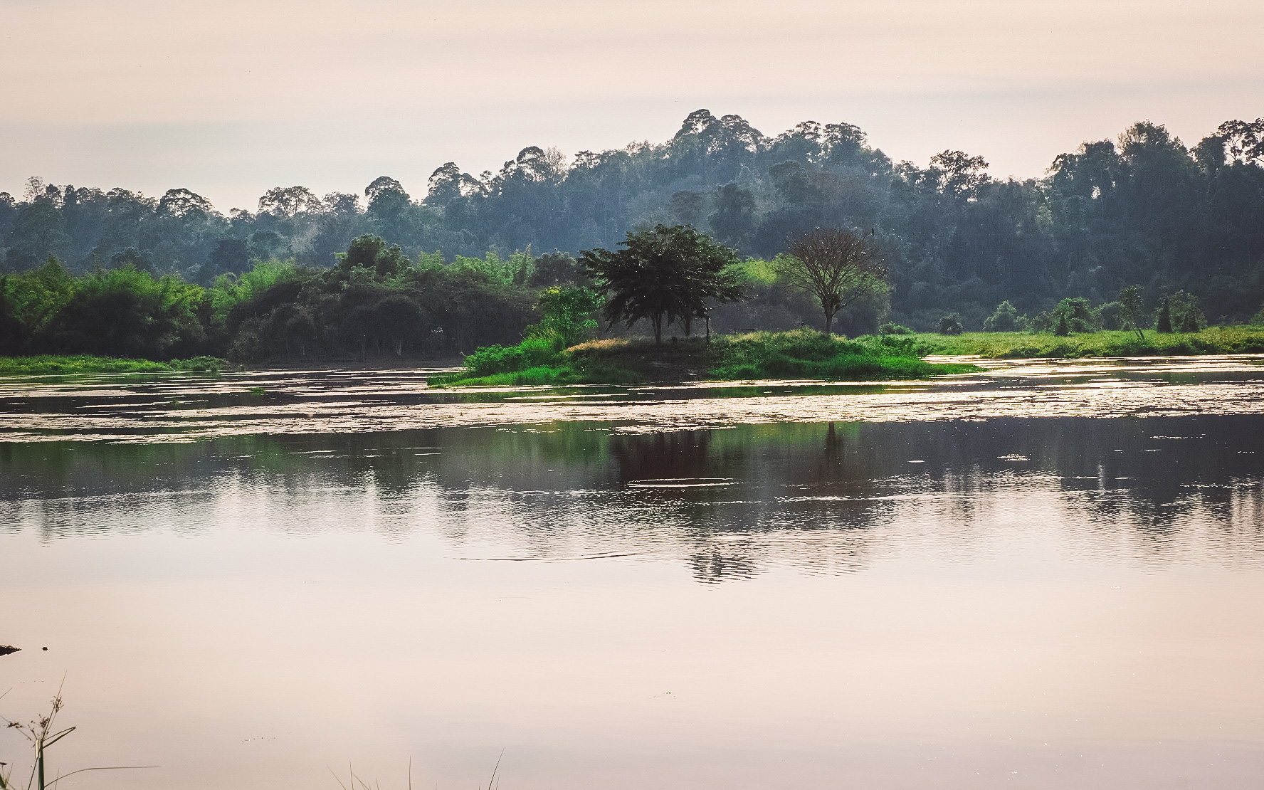 Danh lục xanh: Giải pháp bảo tồn bền vững cho Vườn quốc gia Cát Tiên