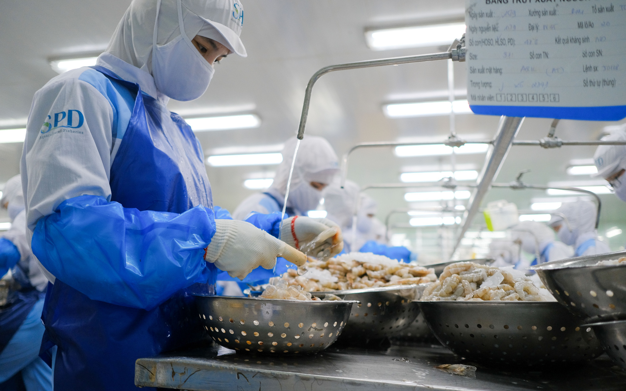 Giá cá tra giảm 1.600 đồng/kg so với cùng kỳ- Ảnh 2. Giá cá tra từ 5,2 USD còn 2,8 USD/kg, tôm 14,7 USD còn 10 USD/kg
