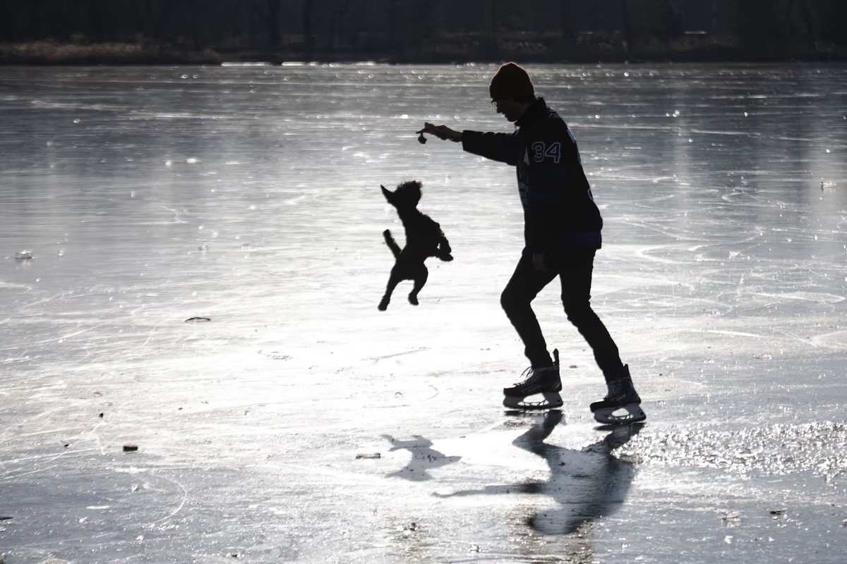 1月14日、オーストリアの首都ウィーンを流れる凍ったドナウ川の水面で小型犬と遊ぶ男性。  （アレックス・ハラダ/AFP）
