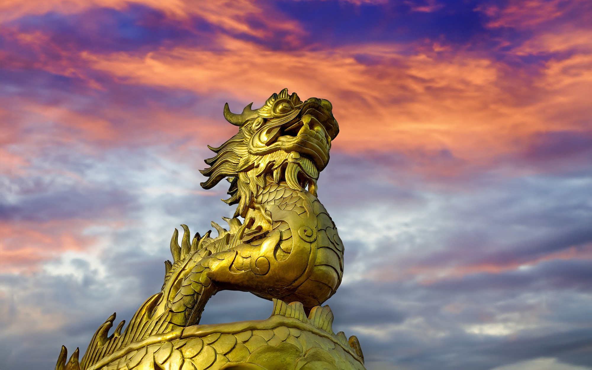 Tết này điện Thái Hòa và Kiến Trung cho tham quan miễn phí 3 ngày đầu năm- Ảnh 10. Trung tâm Bảo tồn di tích cố đô Huế: 42 năm hồi sinh di sản