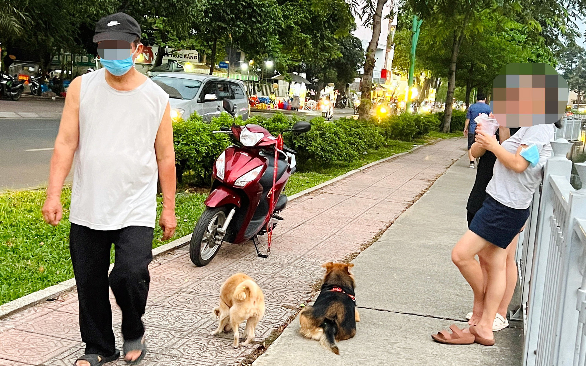 5 động tác thể dục 'nhìn qua hơi ngán' nhưng rất hữu ích- Ảnh 6. Thể dục nơi công cộng, tôi sợ chó cắn