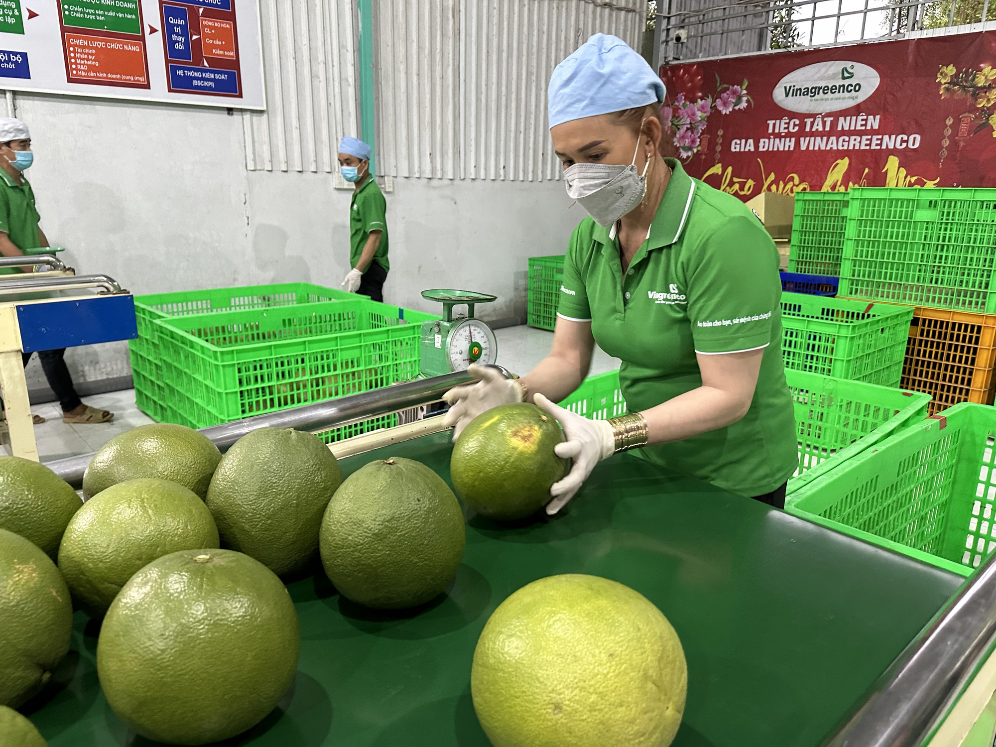 Mới đầu năm, nông sản xuất khẩu 