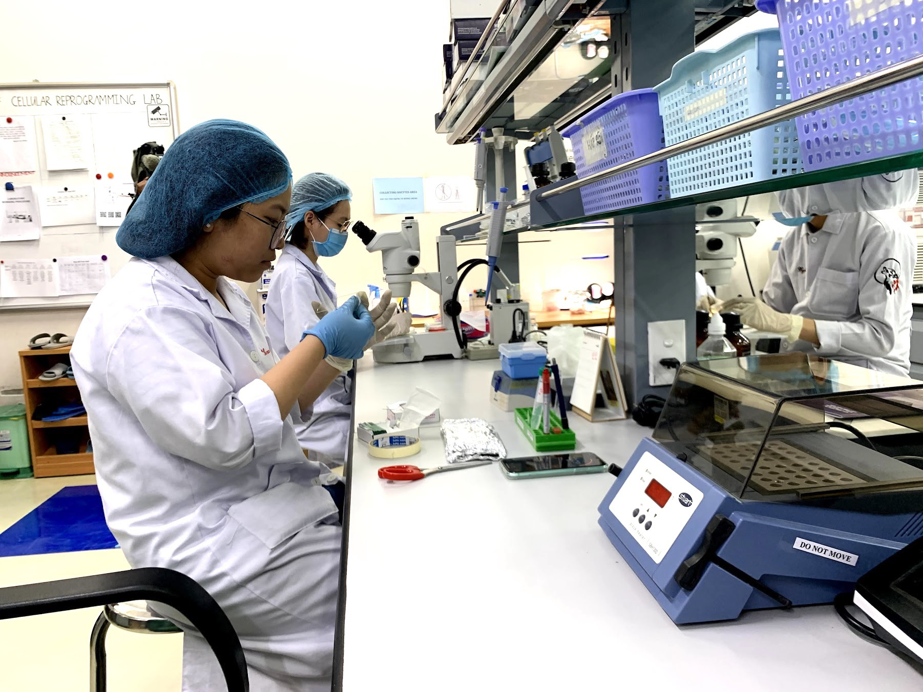 Xếp hạng các trường đại học Việt Nam: 41 xuống hạng, 16 ra khỏi top- Ảnh 1. Nghiên cứu viên làm việc tại phòng thí nghiệm của Trường đại học Quốc tế (Đại học Quốc gia TP.HCM) - Ảnh: TRẦN HUỲNH
