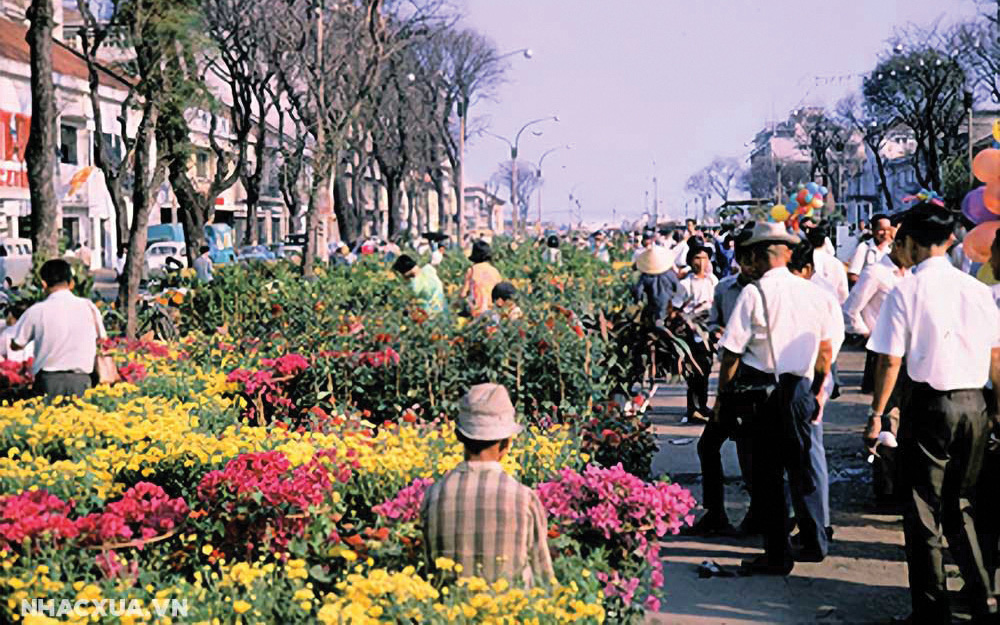 Bãi bồi, ruộng rau ven sông Vu Gia ngày cận Tết đẹp như tranh- Ảnh 7. Tết Sài Gòn nỗi nhớ, niềm thương
