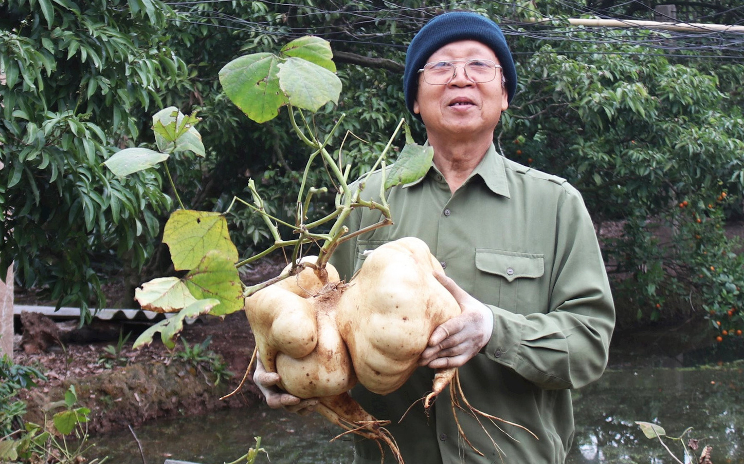 Nhộn nhịp chợ phụ kiện, trang trí Tết trên mạng- Ảnh 5. Lão nông kiếm tiền triệu với 200 củ đậu