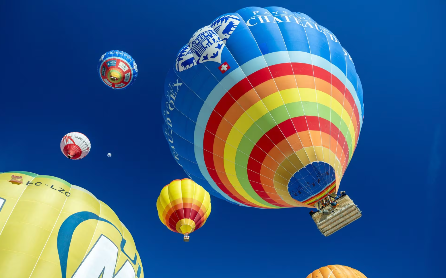 Trải nghiệm khinh khí cầu miễn phí tại festival ở Hải Phòng- Ảnh 2. Hình ảnh rực rỡ của lễ hội khinh khí cầu Thụy Sĩ