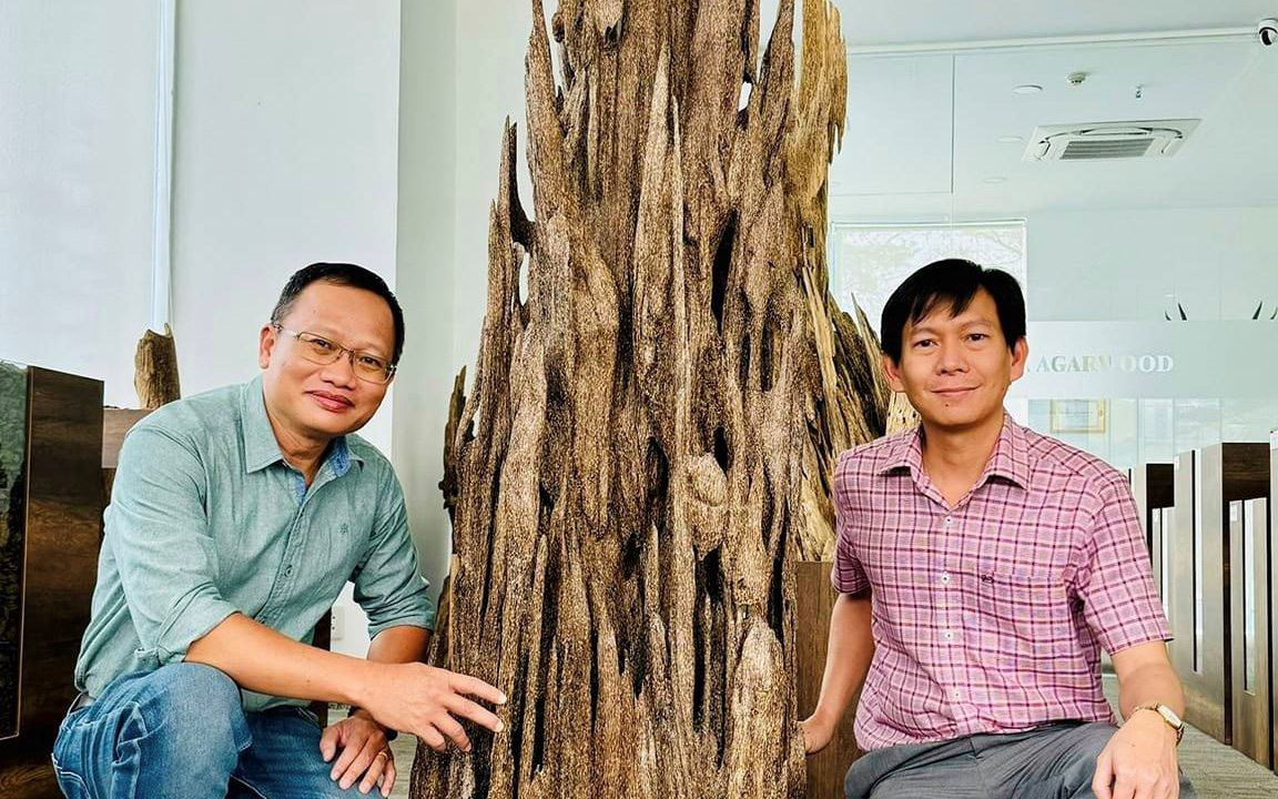 Người dân đổ xô vào rừng đặc dụng tìm trầm hương sau tin đồn trúng kỳ nam 10 tỉ- Ảnh 2. Đấu giá cây trầm hương giúp người nghèo về quê đón Tết