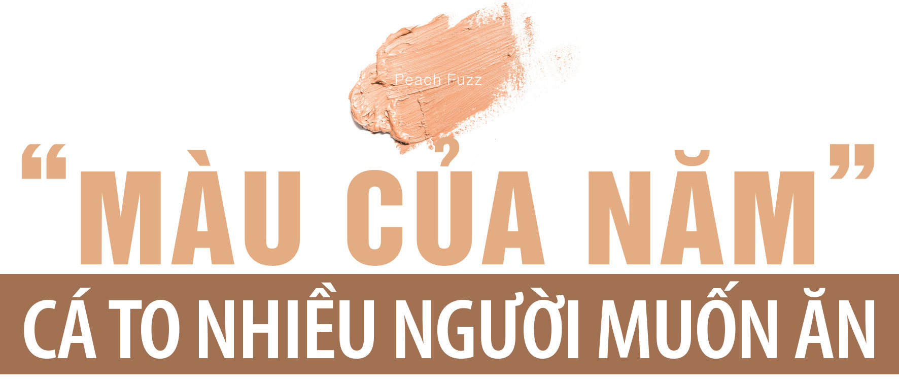 Pantone nghĩ gì khi chọn Peach Fuzz là màu của năm? - Ảnh 15.