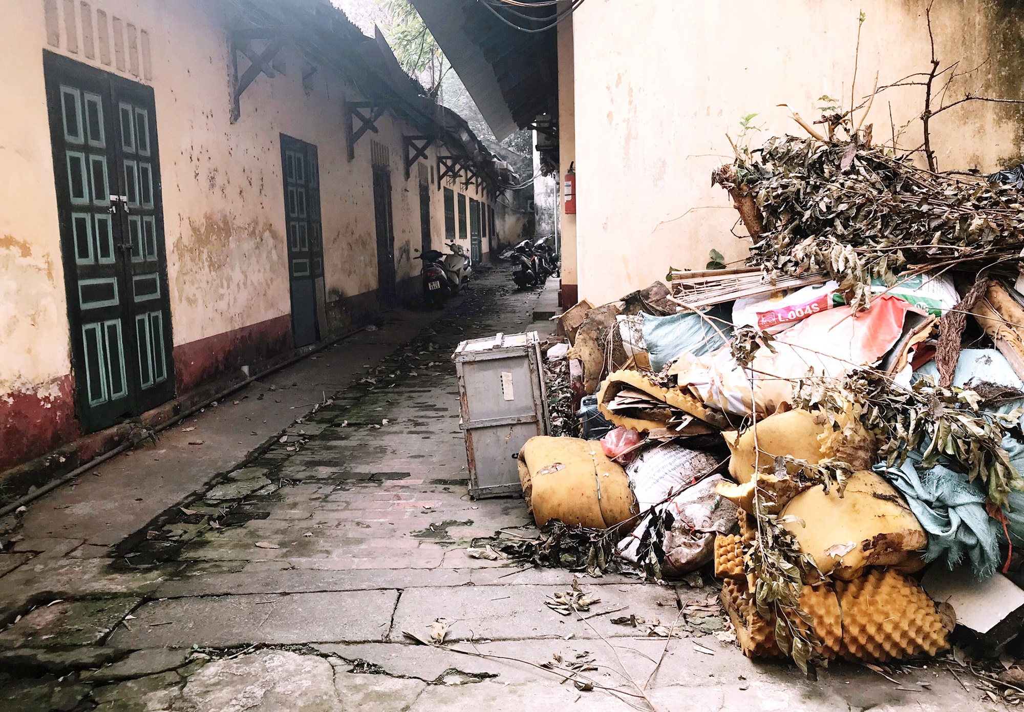 Một góc VFS hiện tại - Ảnh: ĐẬU DUNG