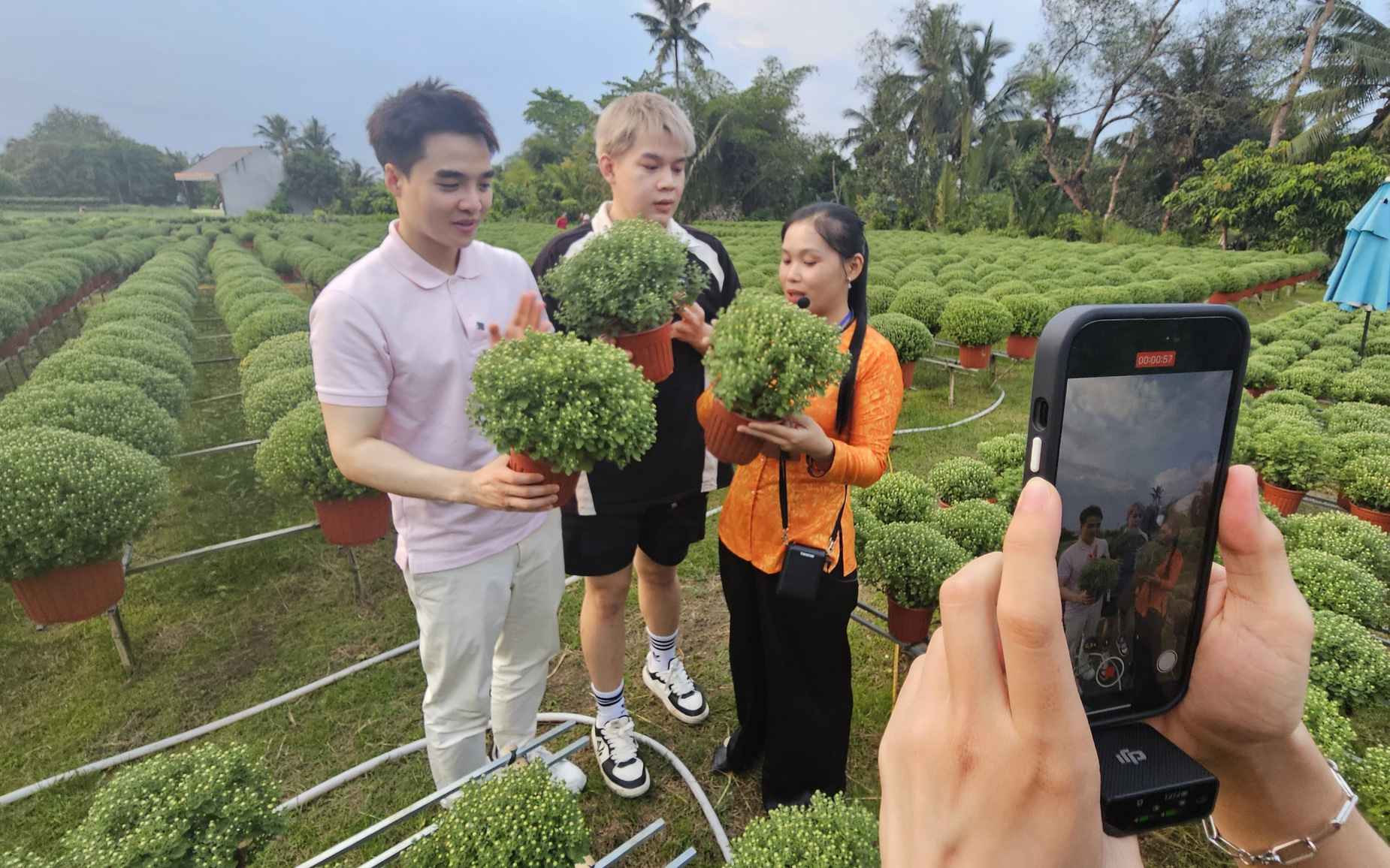Hơn 2,8 triệu doanh nghiệp siêu nhỏ, hộ kinh doanh bán hàng trên TikTok- Ảnh 2. TikToker tề tựu, sắp diễn ra