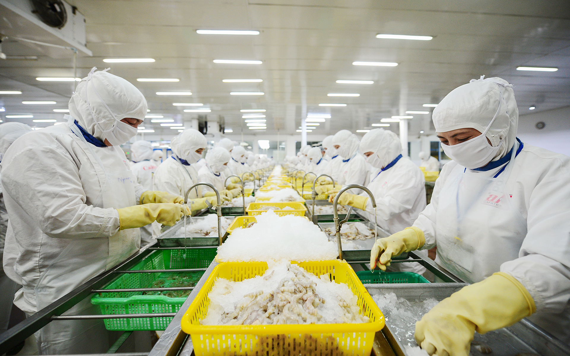 Ông Phan Thành Tân làm chủ tịch Hiệp hội Doanh nghiệp quận 1 - Ảnh 3.