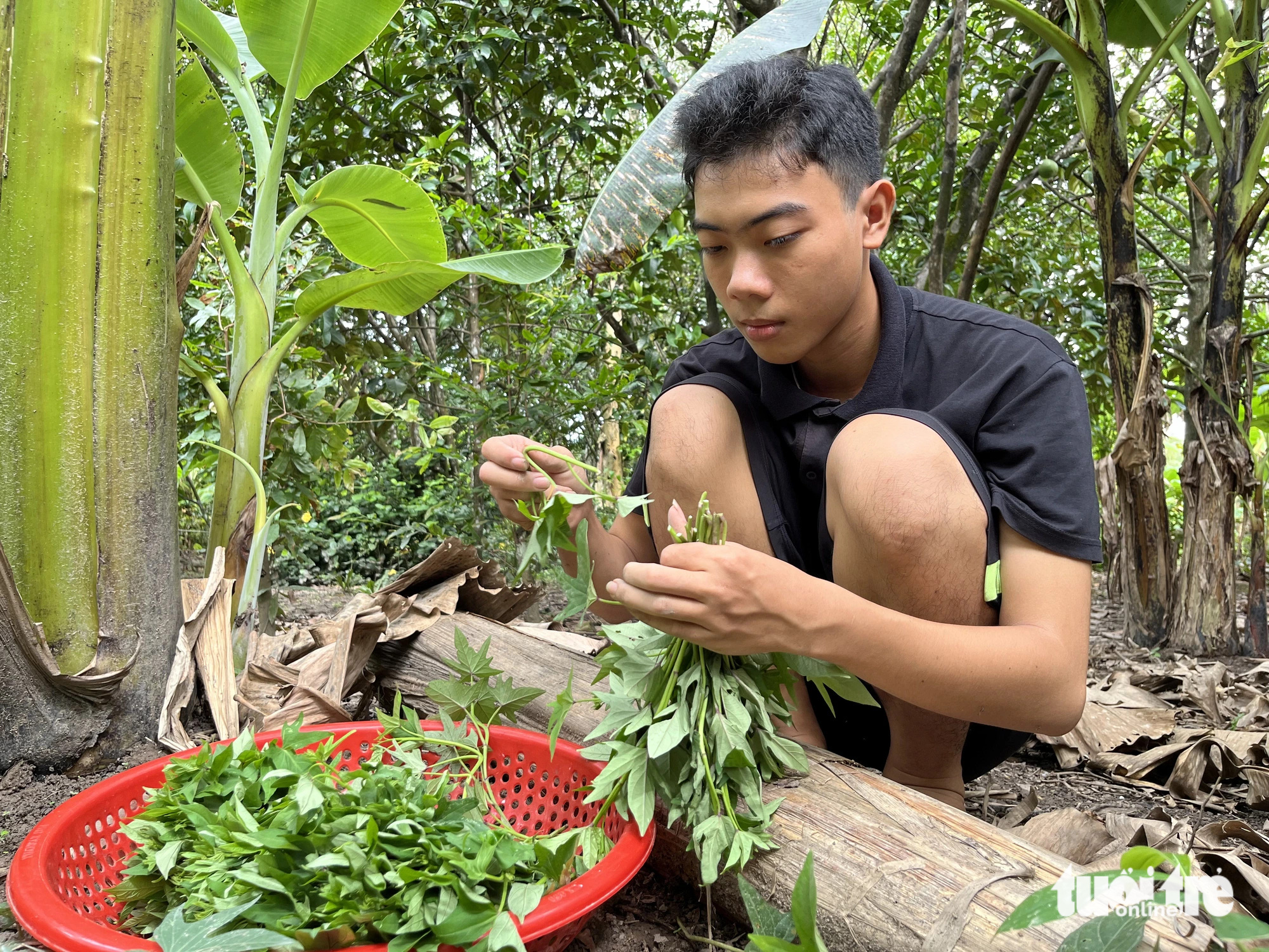 Nam sinh đậu báo chí ĐH Cần Thơ 27 điểm: Từng thầm mong cha hay mẹ hãy nuôi mình - Ảnh 5.