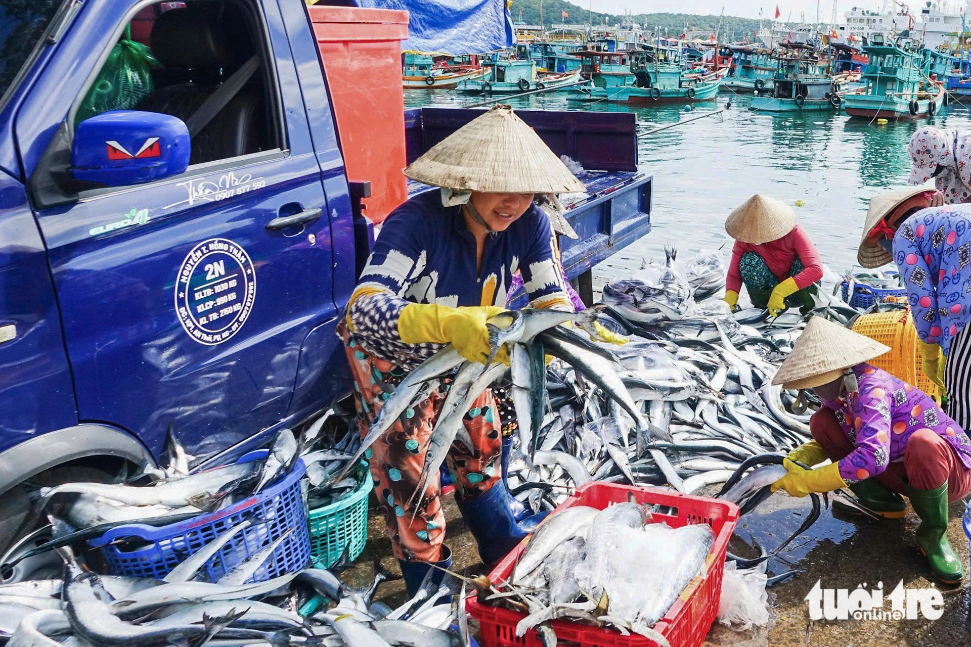 Nhịp sống rộn ràng của ngư dân ở cảng cá sầm uất nhất Phú Quốc - Ảnh 4.