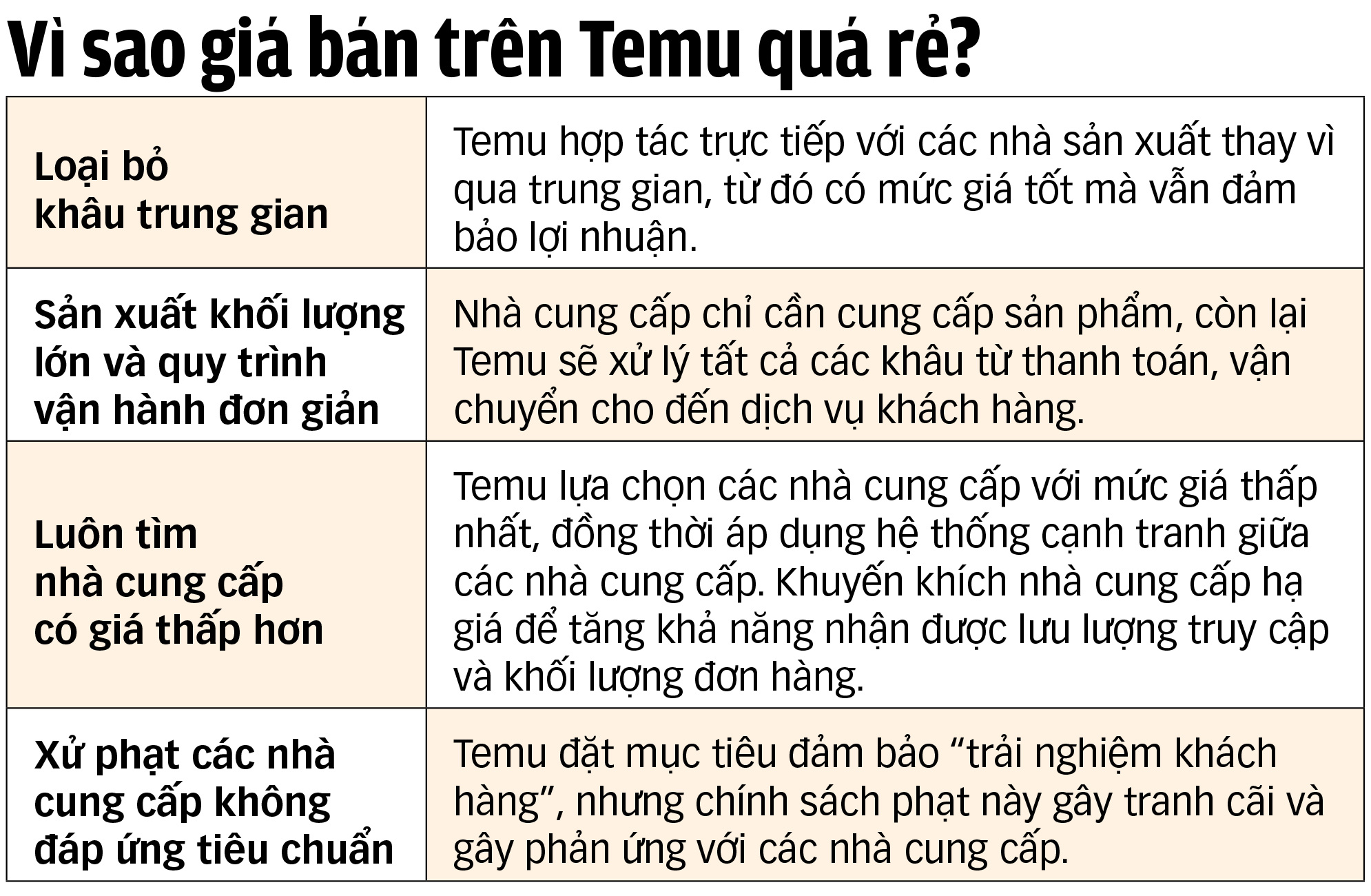 Temu không phép, đại náo thị trường Việt Nam - Ảnh 2.