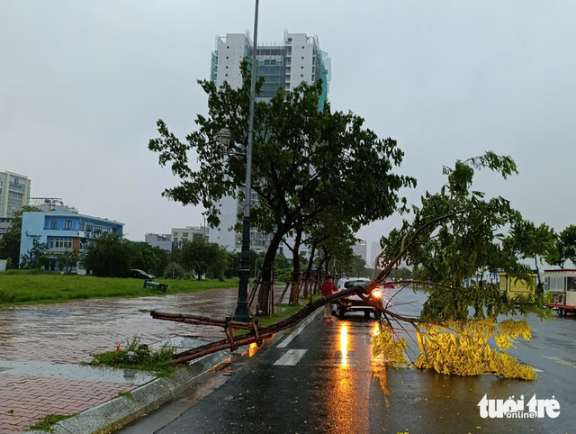 Bão Trà Mi (bão số 6) bắt đầu gây mưa to, gió lớn- Ảnh 1.