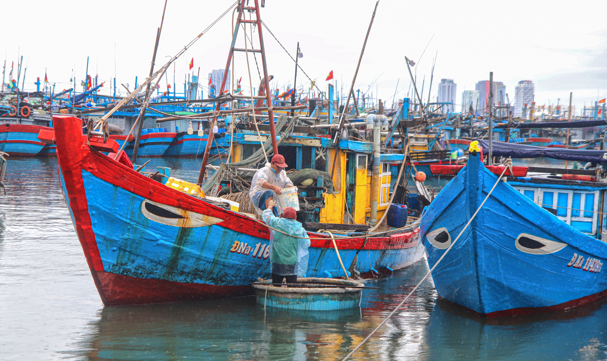 Ra khơi sau bão, ngư dân Đà Nẵng hồ hởi với những mẻ cá đầy - Ảnh 3.