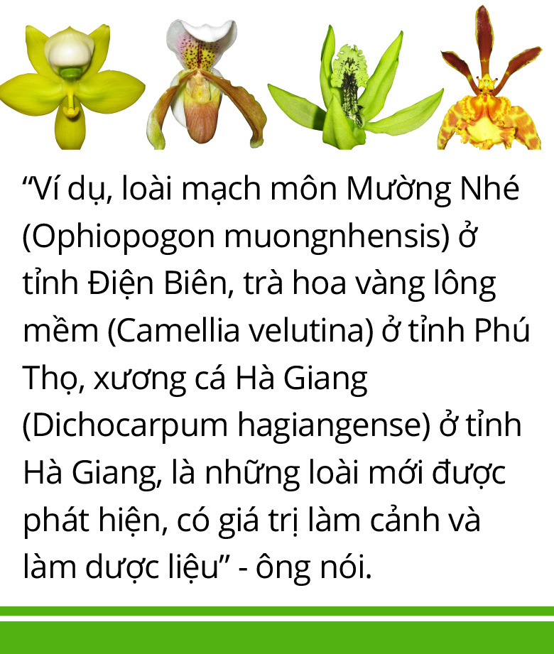 Hậu trường phát hiện, ghi danh loài thực vật mới - Ảnh 11.