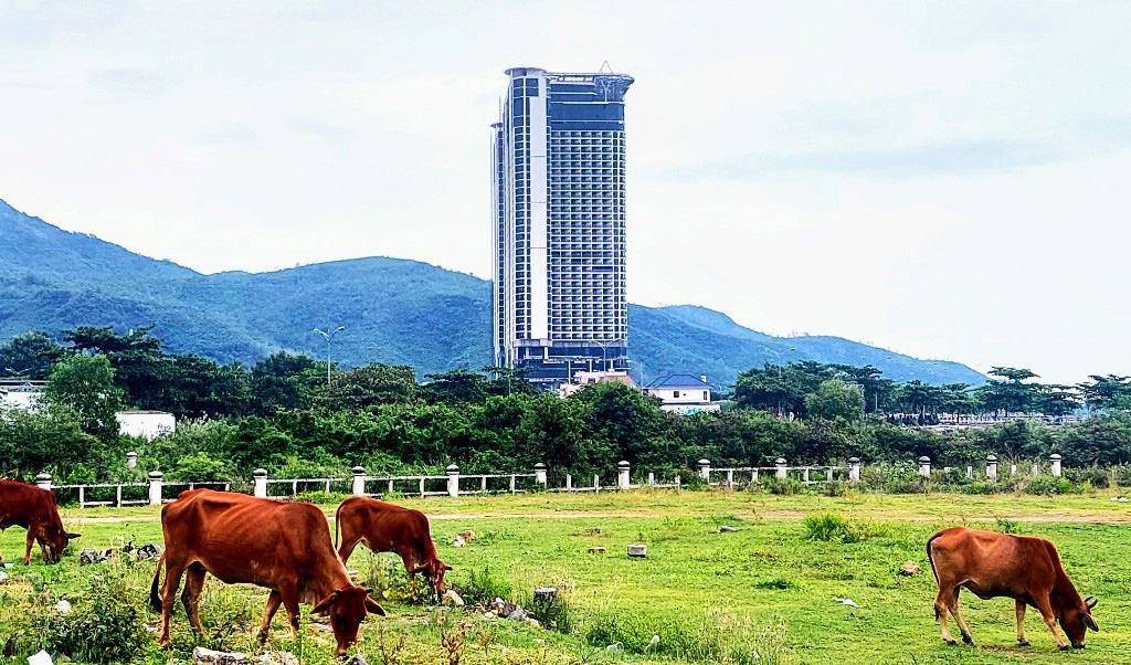 Dự án vi phạm tại đảo Hòn Rùa, lấp vịnh Nha Trang được lờ việc thu hồi đất - Ảnh 6.