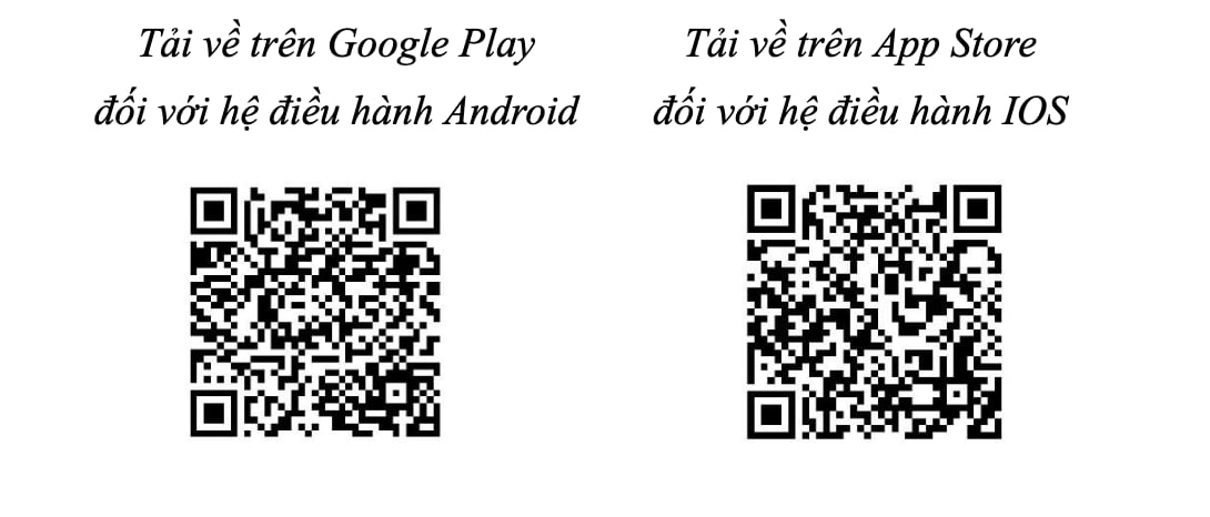 Ho Chi Minh City launches Digital Citizen app, people can send feedback ...