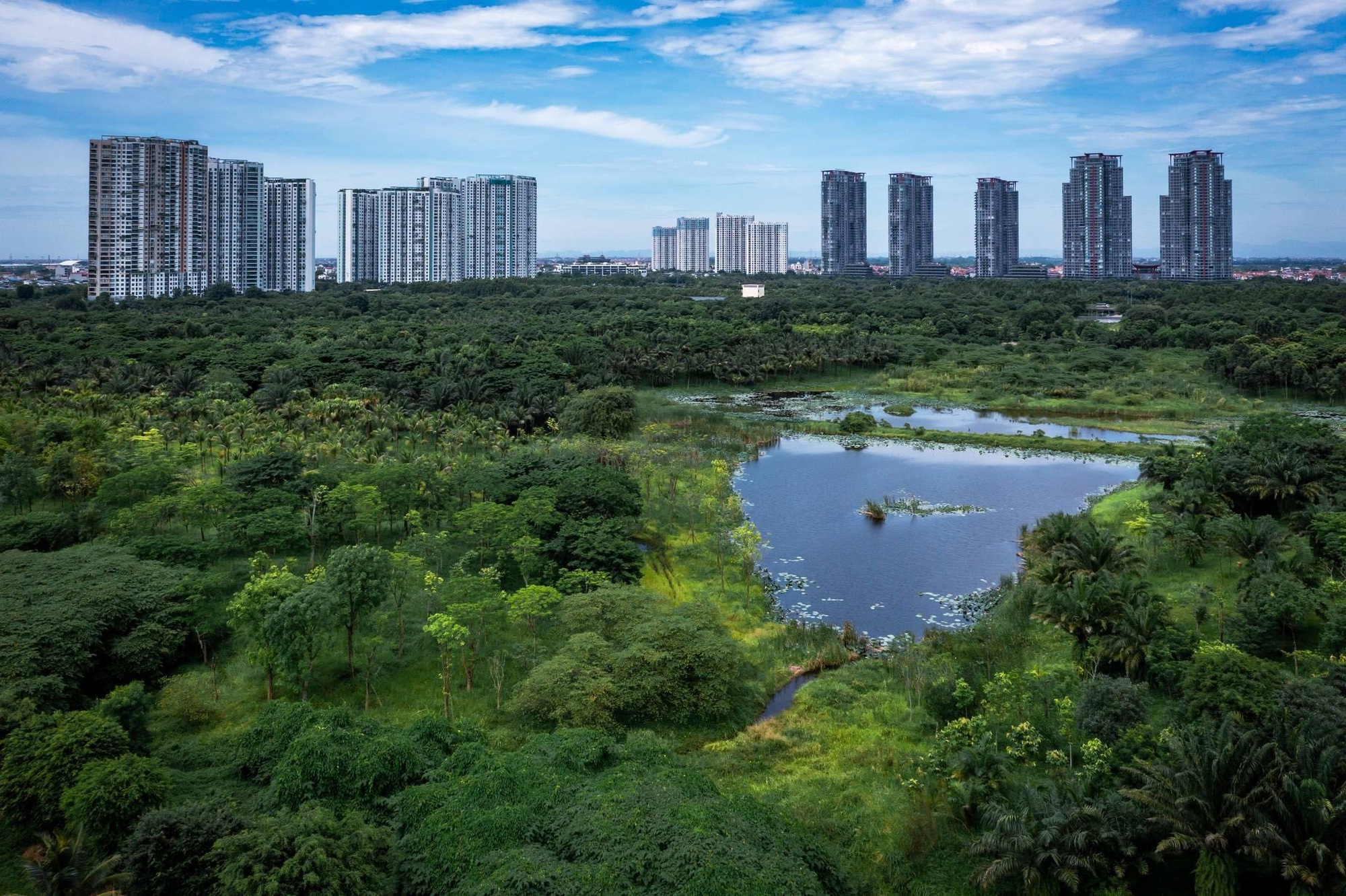 Nhà sáng lập Ecopark nhận cú đúp giải thưởng tại Việt Nam PropertyGuru 2024 - Ảnh 3.