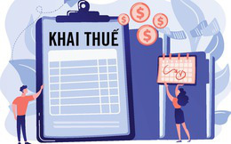 Cha mẹ định cư ở nước ngoài, con có thể đăng ký lại khai sinh ở đâu? - Ảnh 2.