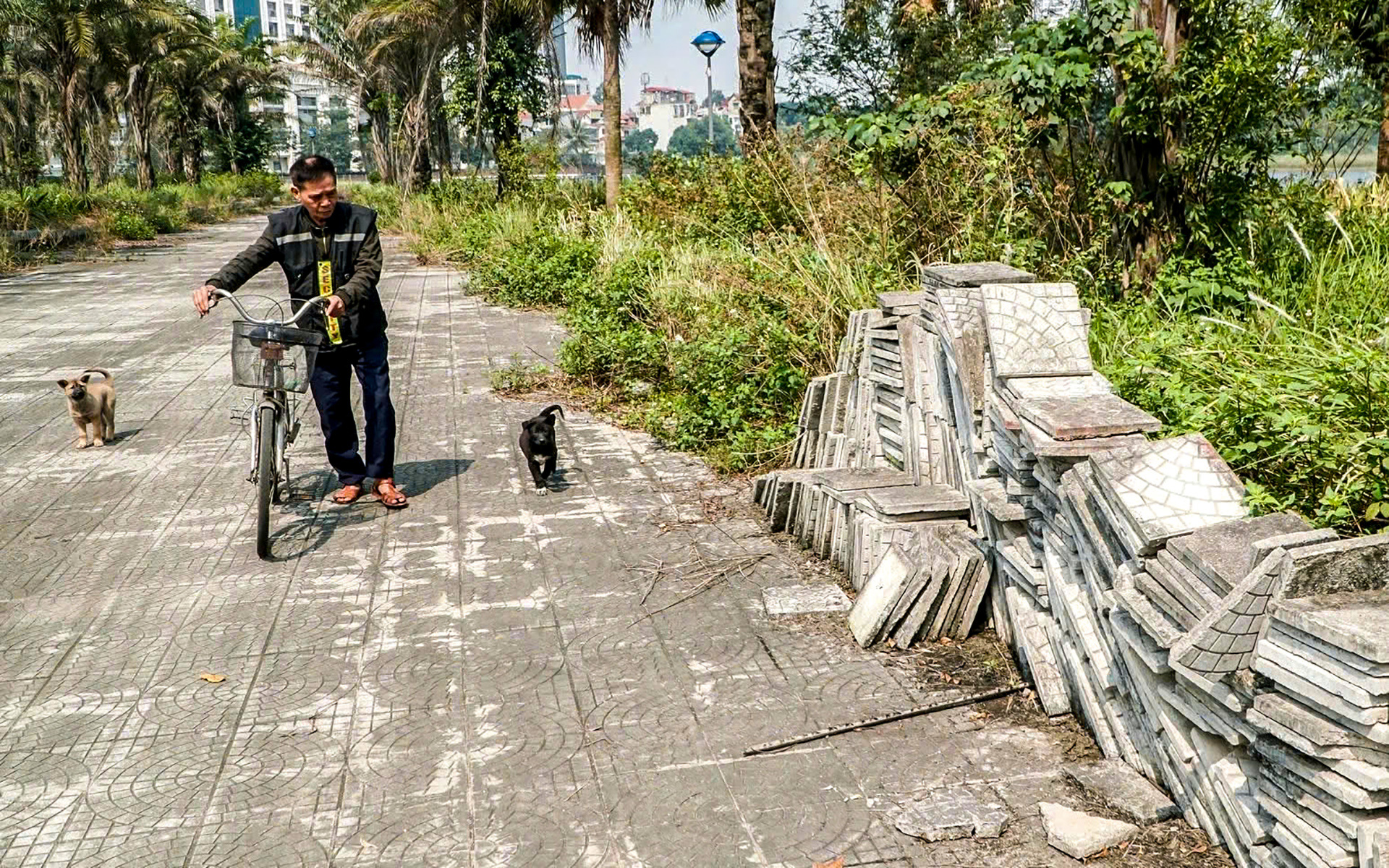 Công viên bỏ hoang 7 năm giữa thủ đô đã đi vào hoạt động sau 'lệnh' của Chủ tịch Hà Nội - Ảnh 2.