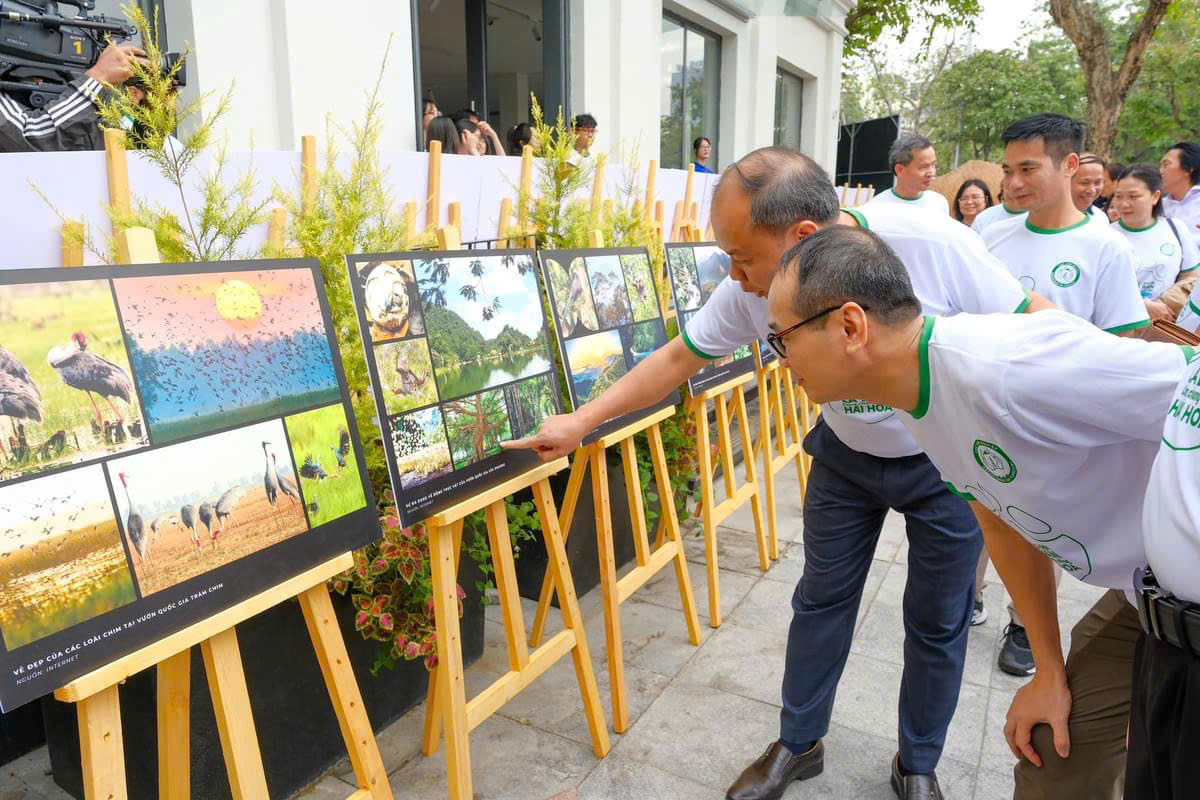 5.000 bạn trẻ tham gia ‘Nhảy vì sự tử tế’ - Ảnh 3.