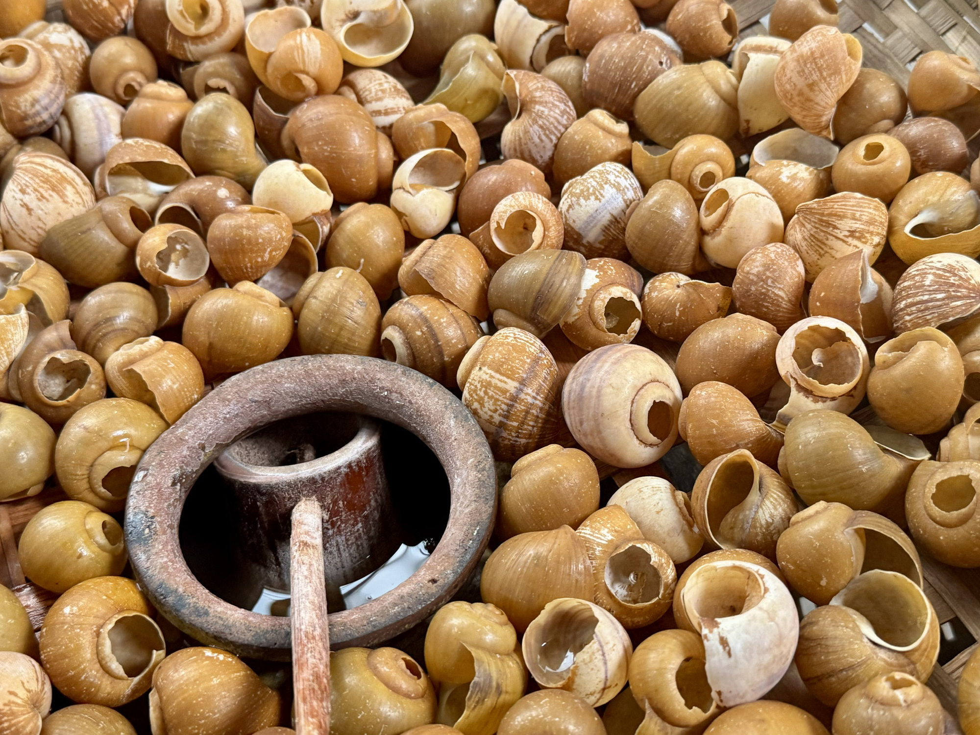 একজন সাইগোনিজ আছেন যিনি হ্যানয়ের ঠান্ডা শামুক নুডল স্যুপেও আসক্ত - ছবি ৫। Có một người Sài Gòn cũng ghiền bún ốc nguội Hà Nội - Ảnh 5.