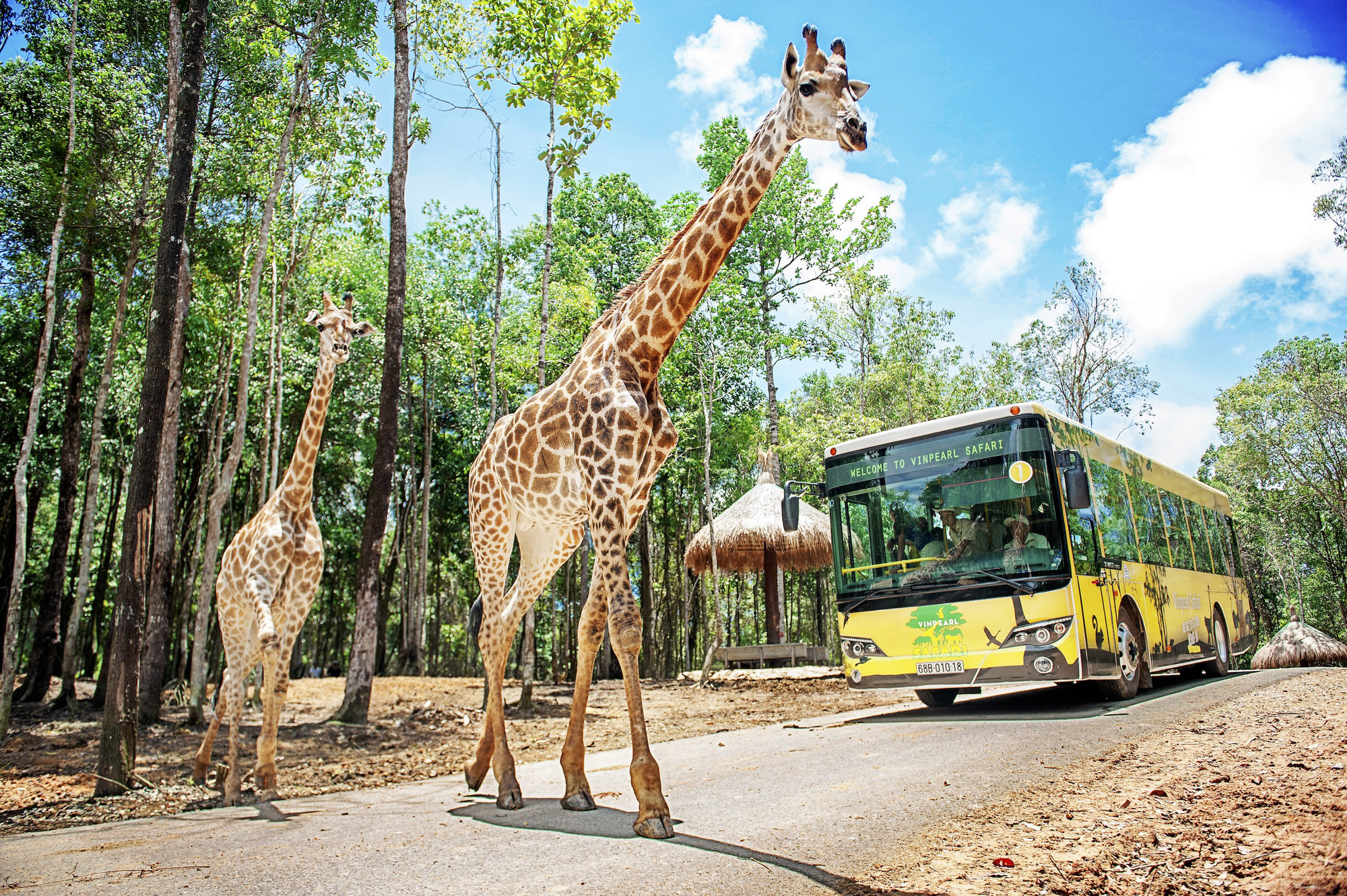 Vinpearl Safari Phú Quốc lọt top đầu vườn thú và thủy cung tại châu Á -  Crowne Plaza Phu Quoc