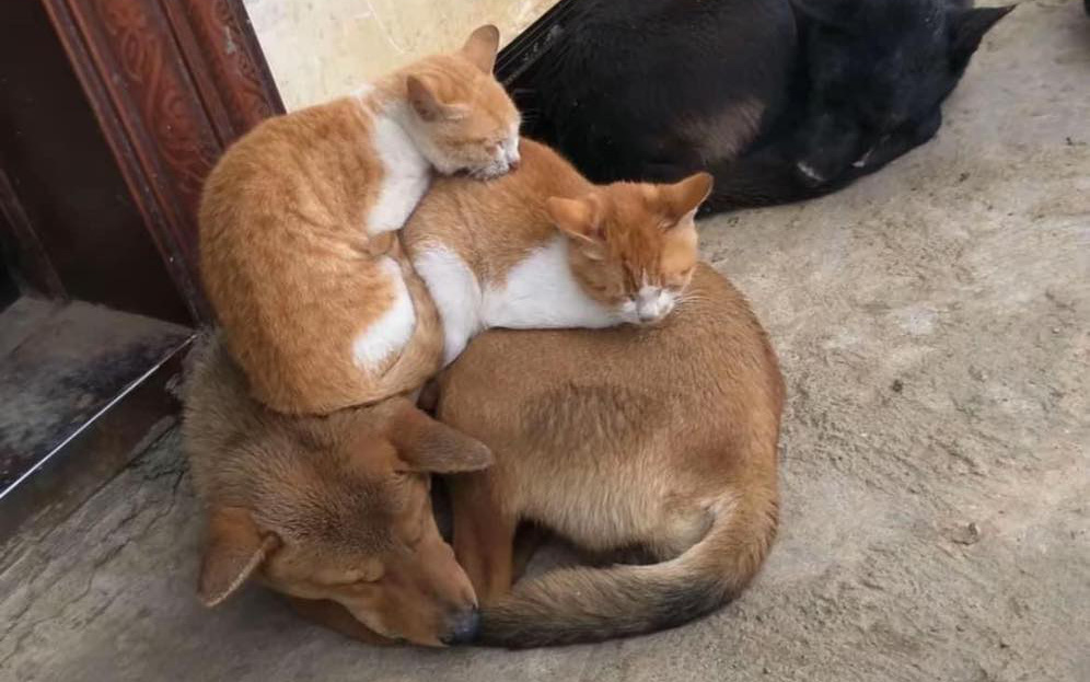 'Đám giỗ bên cồn' - sự kiện bí ẩn nhất trong vũ trụ Lê Tuấn Khang - Ảnh 3.