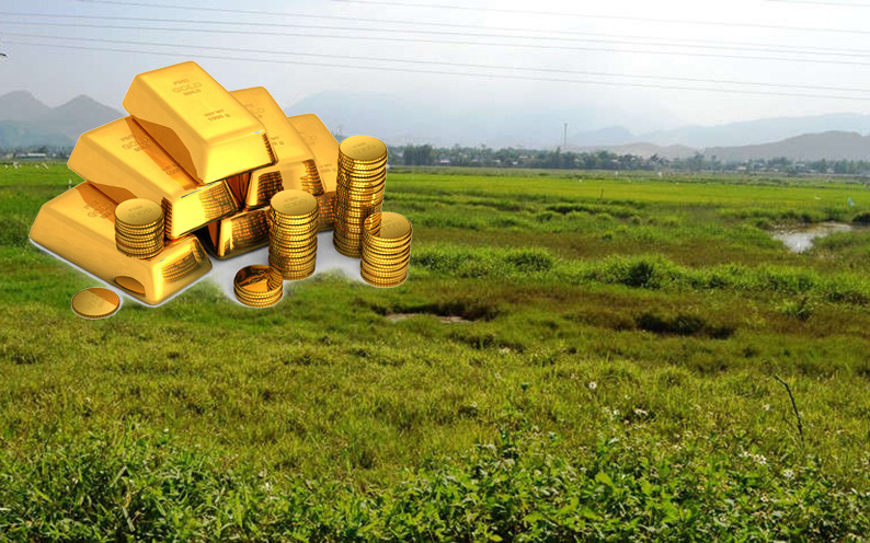 Đuổi hình bắt chữ: Đây là câu tục ngữ nào? - Ảnh 4.
