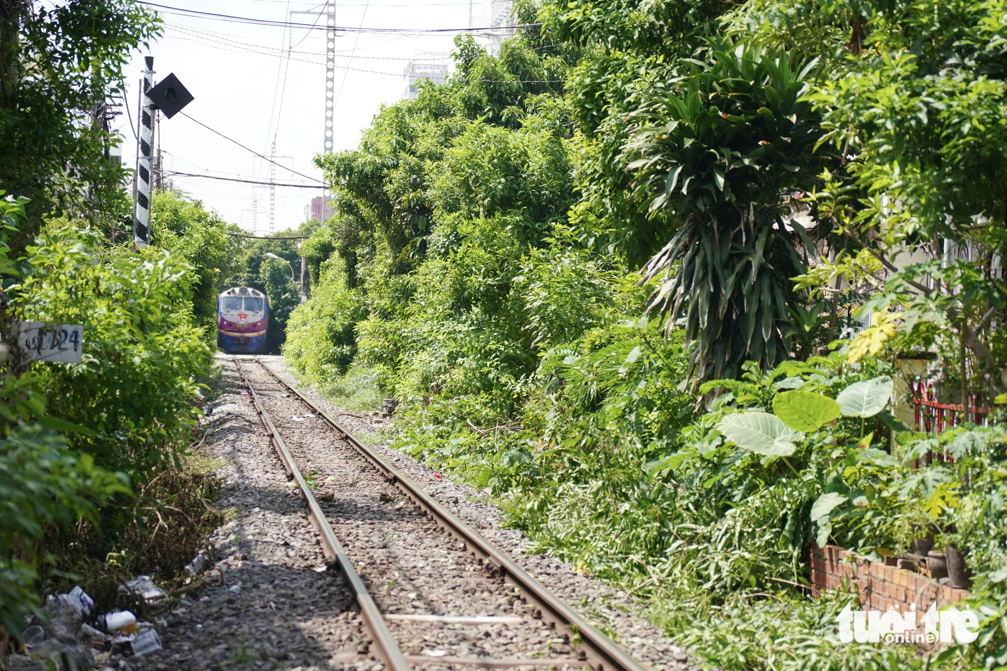 Xóm tàu dễ thương giữa lòng TP. HCM - Ảnh 1.