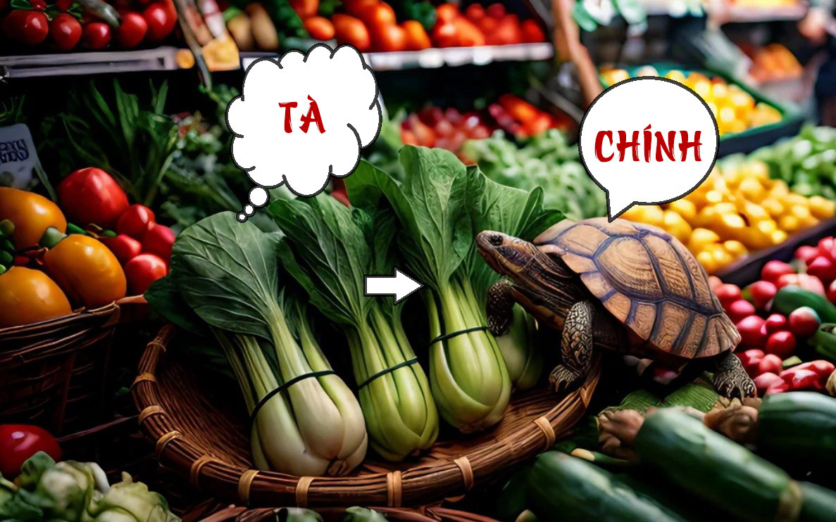 Đuổi hình bắt chữ: Đây là câu thành ngữ nào? (P4) - Ảnh 5.