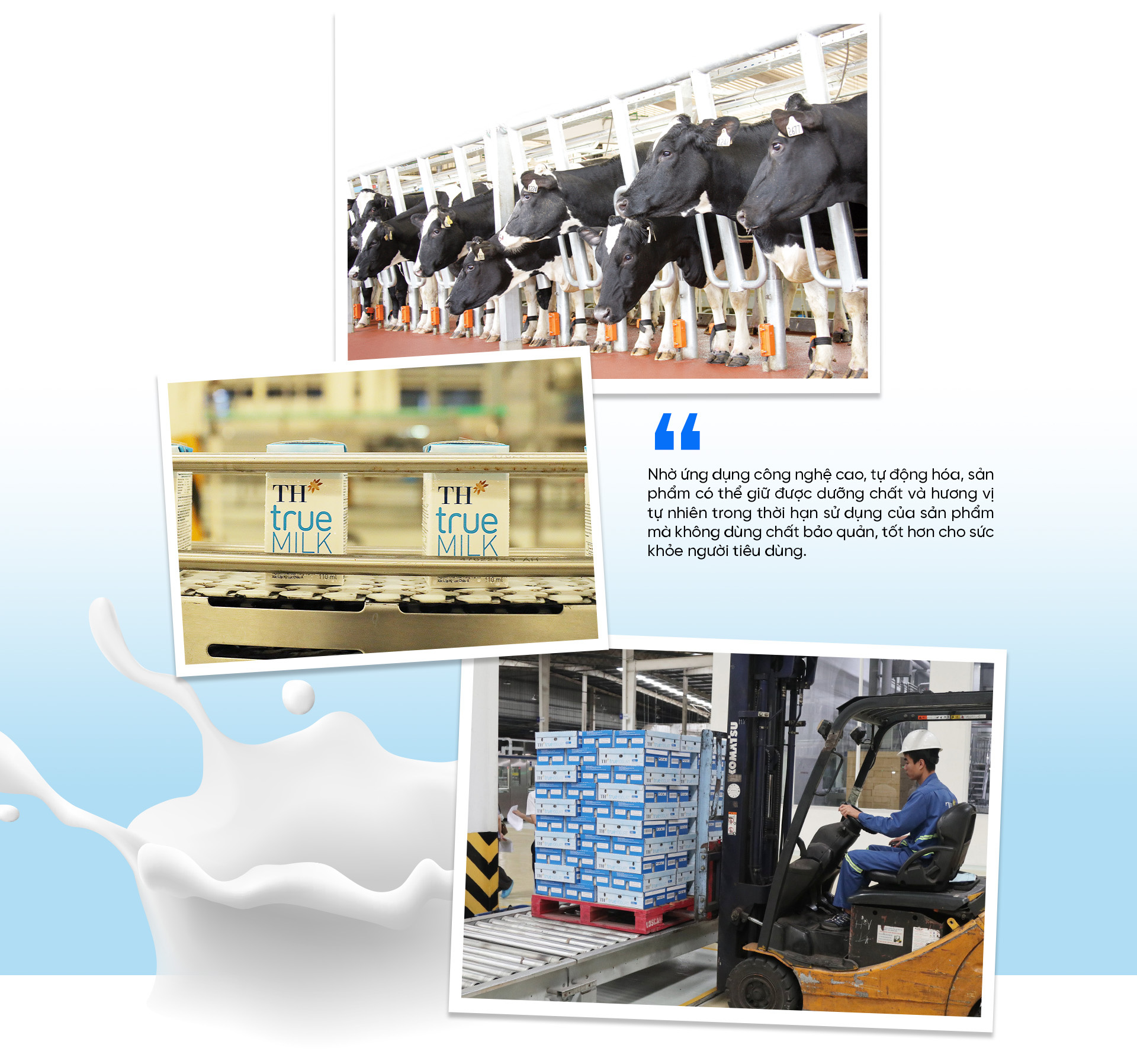 Khám phá ”Nhà máy Xanh” TH true MILK: Từ đồng cỏ xanh đến ly sữa sạch - Ảnh 8.