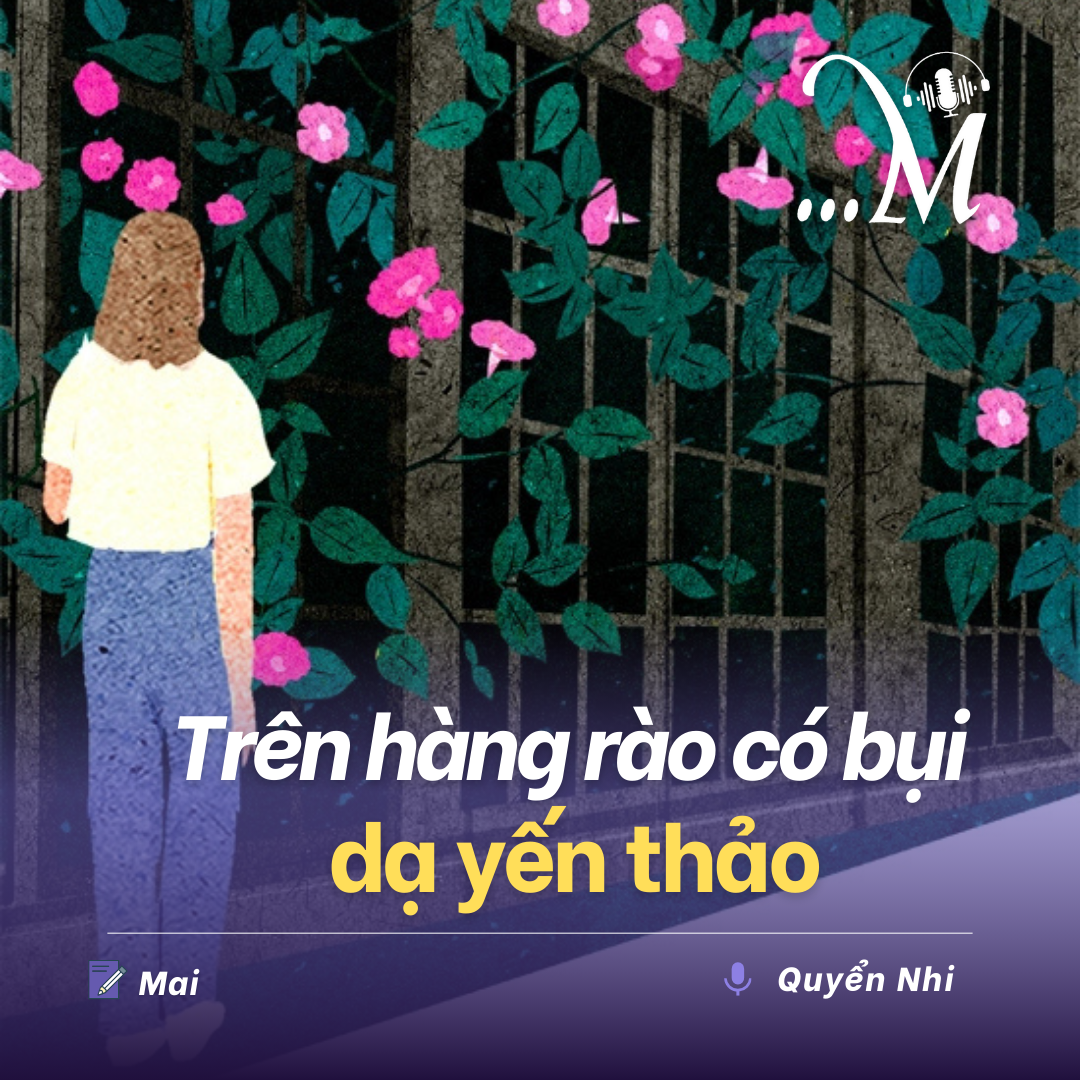 Truyện ngắn Mực Tím: Trên hàng rào có bụi dạ yến thảo