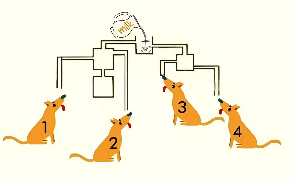 Bình nào đầy nước trước tiên? - Ảnh 3.