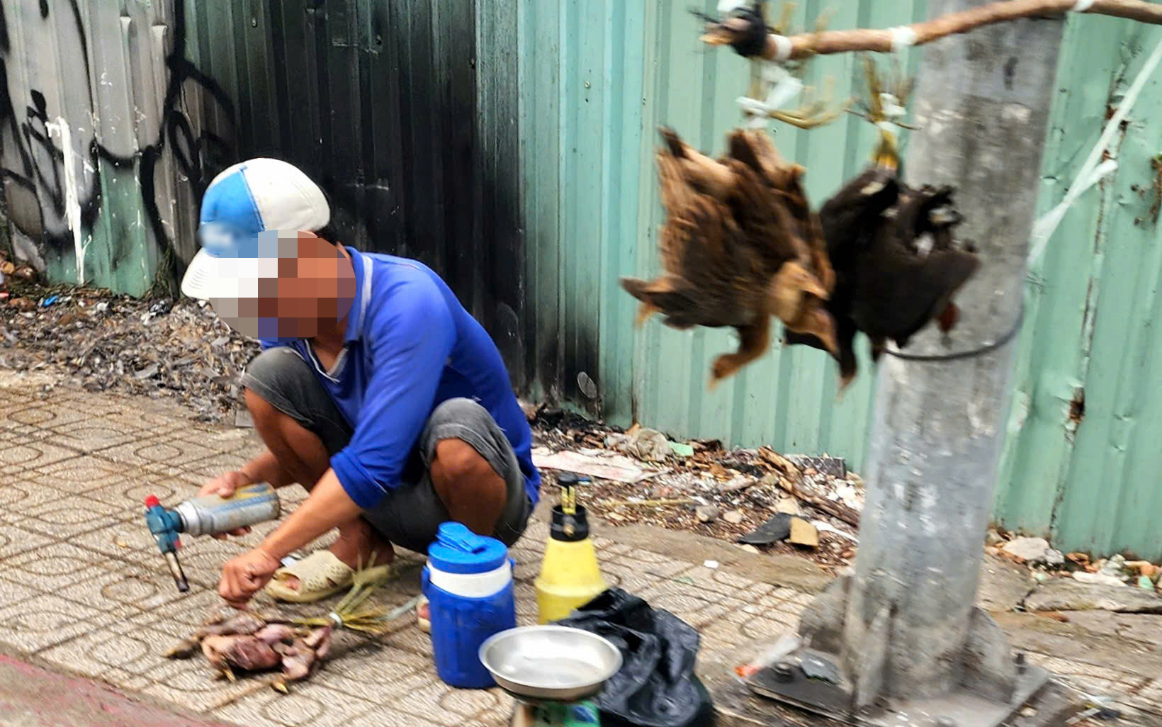 Cơ quan chức năng ở đâu trước cảnh chim trời bị treo ngược, làm thịt bán ngay vỉa hè TP.HCM? - Ảnh 3.