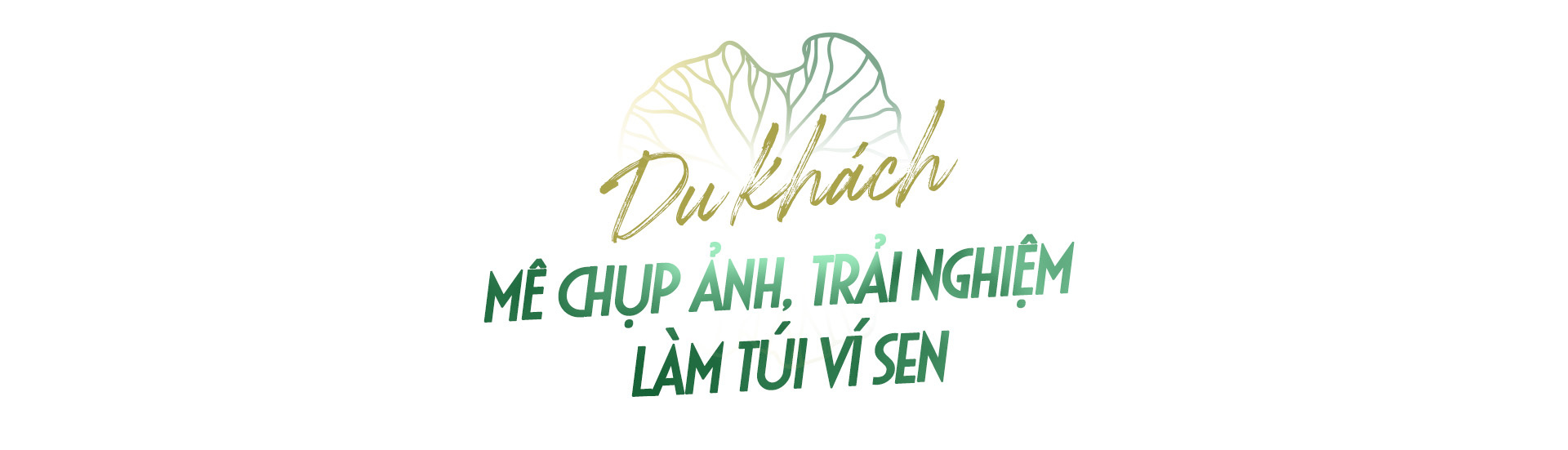 Hành trình người đưa lá sen Việt đến khách quốc tế - Ảnh 7.