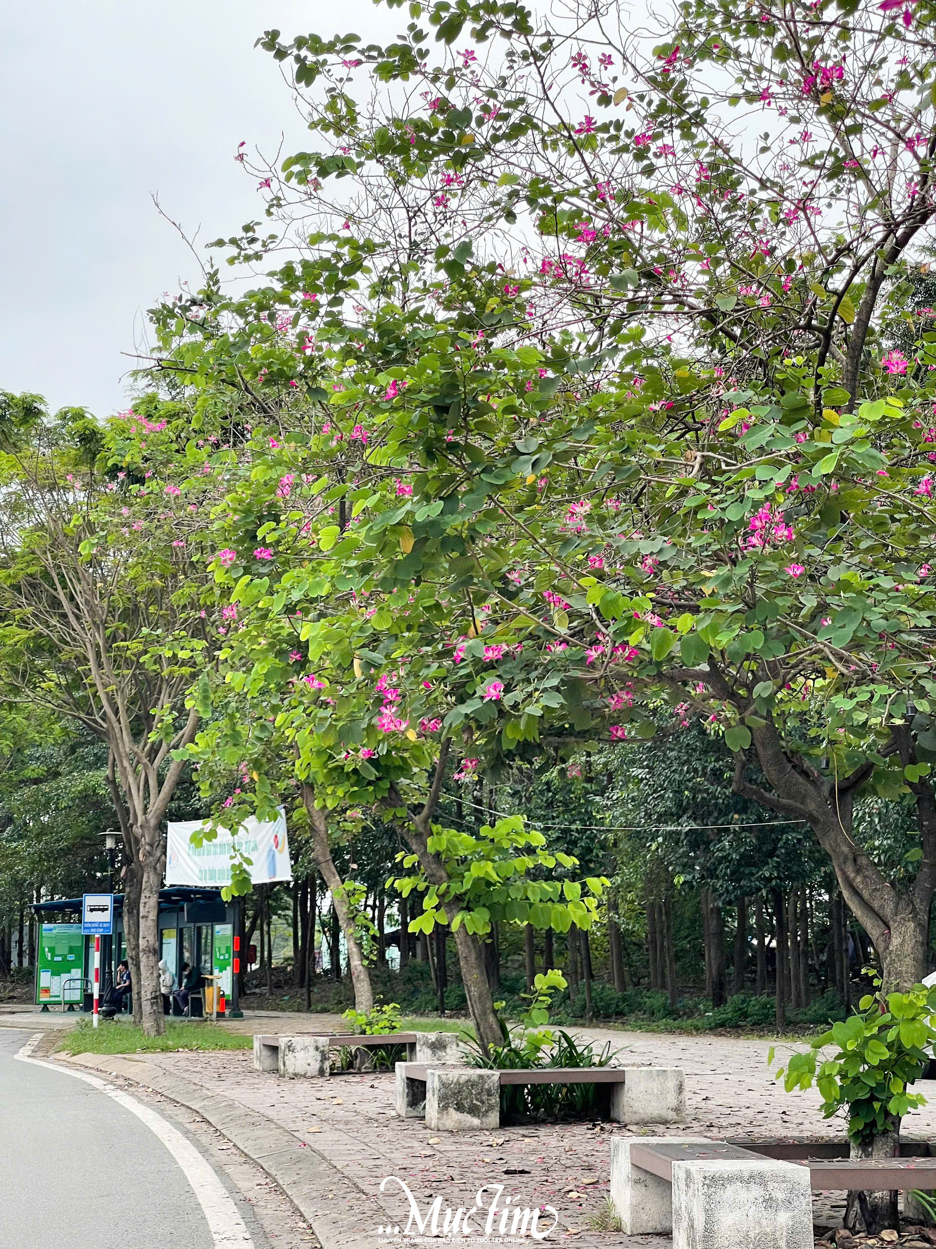 Gần ga metro Đại học Quốc gia có những điểm check-in nào siêu đẹp?- Ảnh 7.